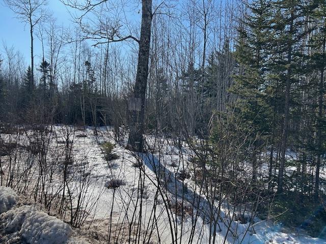 $89,900.00: Greenfield Road, Mosherville