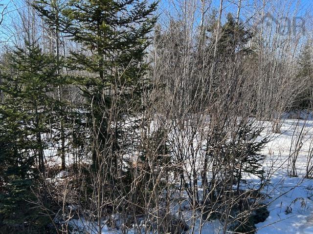 $89,900.00: Greenfield Road, Mosherville