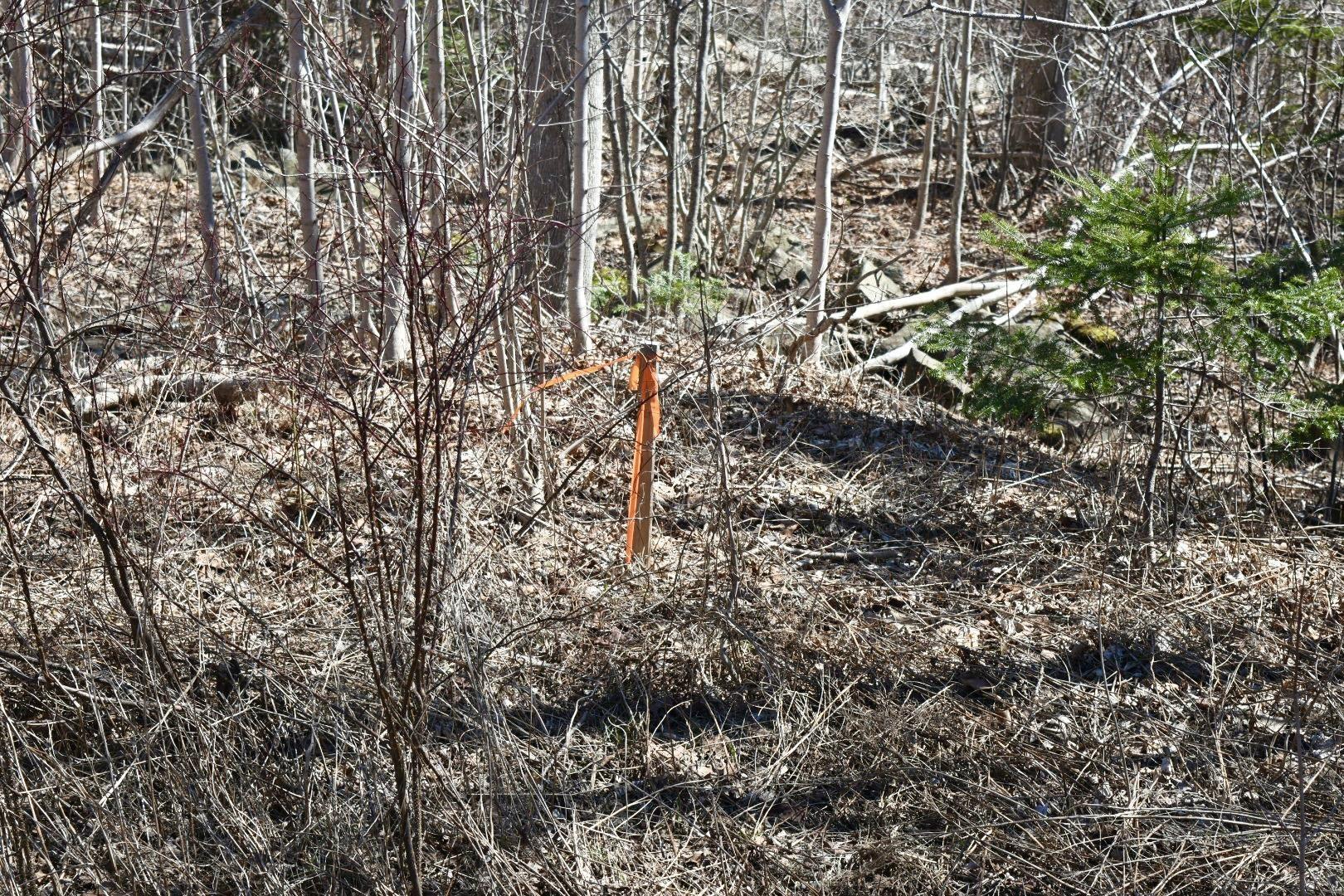$209,900.00: Lots Brow of Mountain Road, Brow Of The Mountain