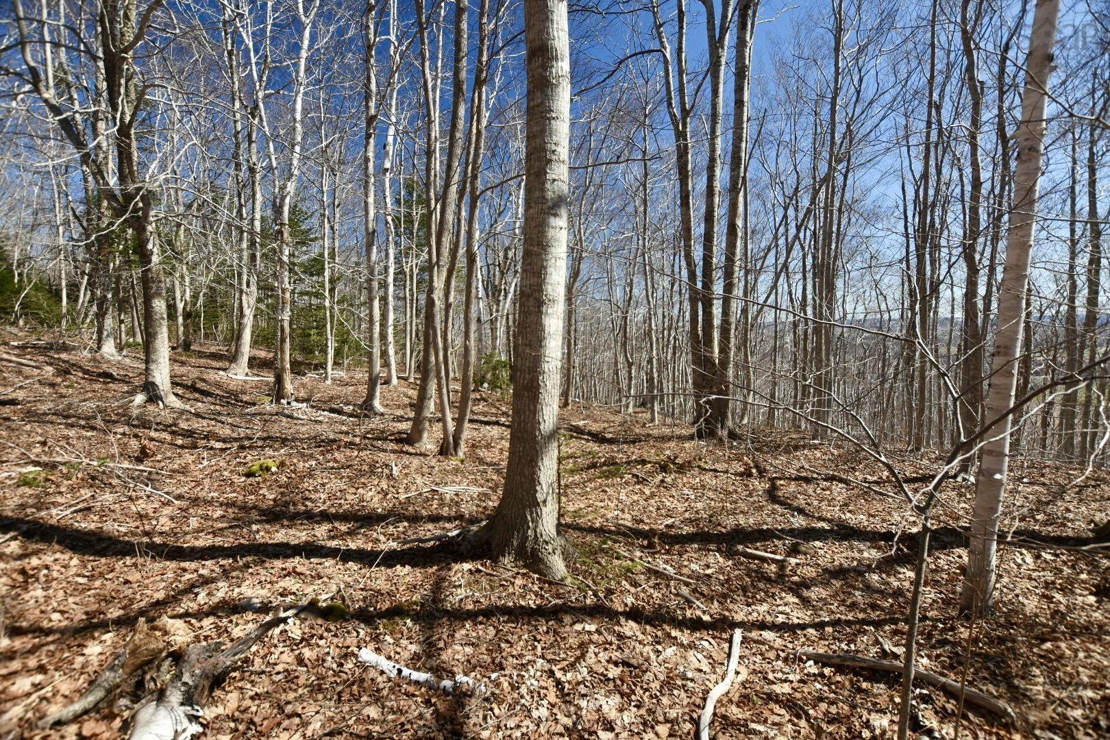 $209,900.00: Lots Brow of Mountain Road, Brow Of The Mountain
