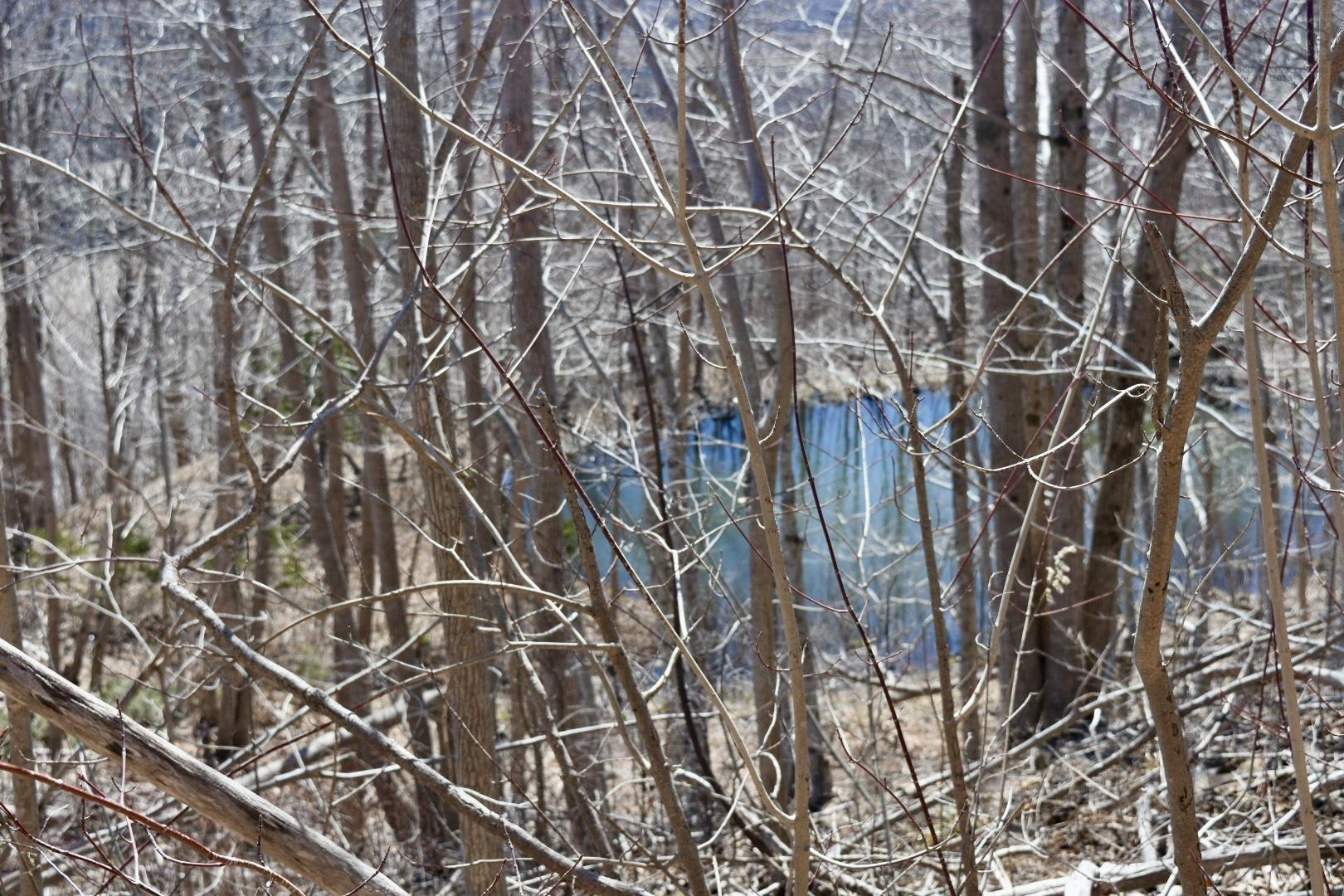 $209,900.00: Lots Brow of Mountain Road, Brow Of The Mountain