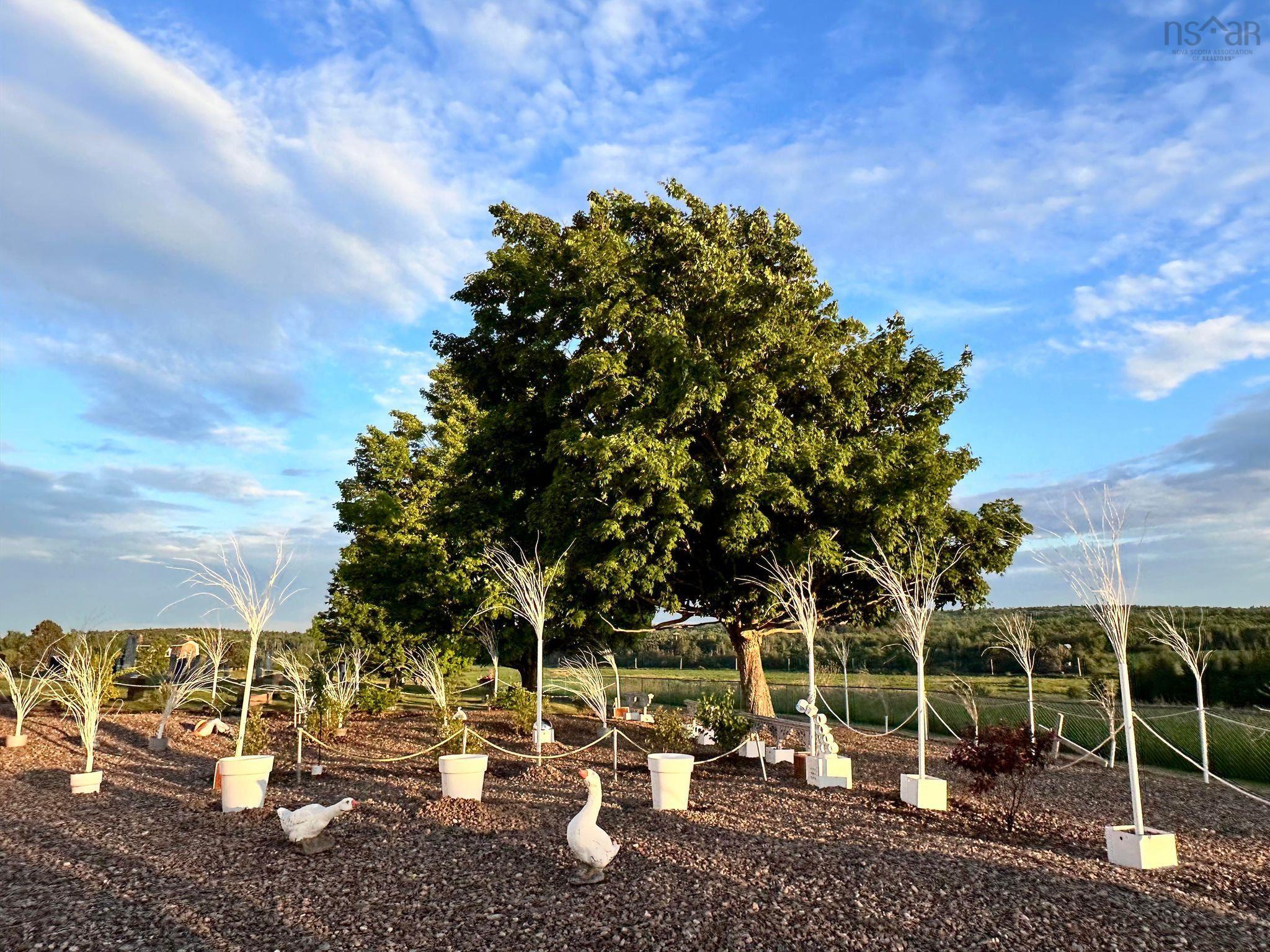 $475,000.00: 8096 Highway 215 Highway, Selma