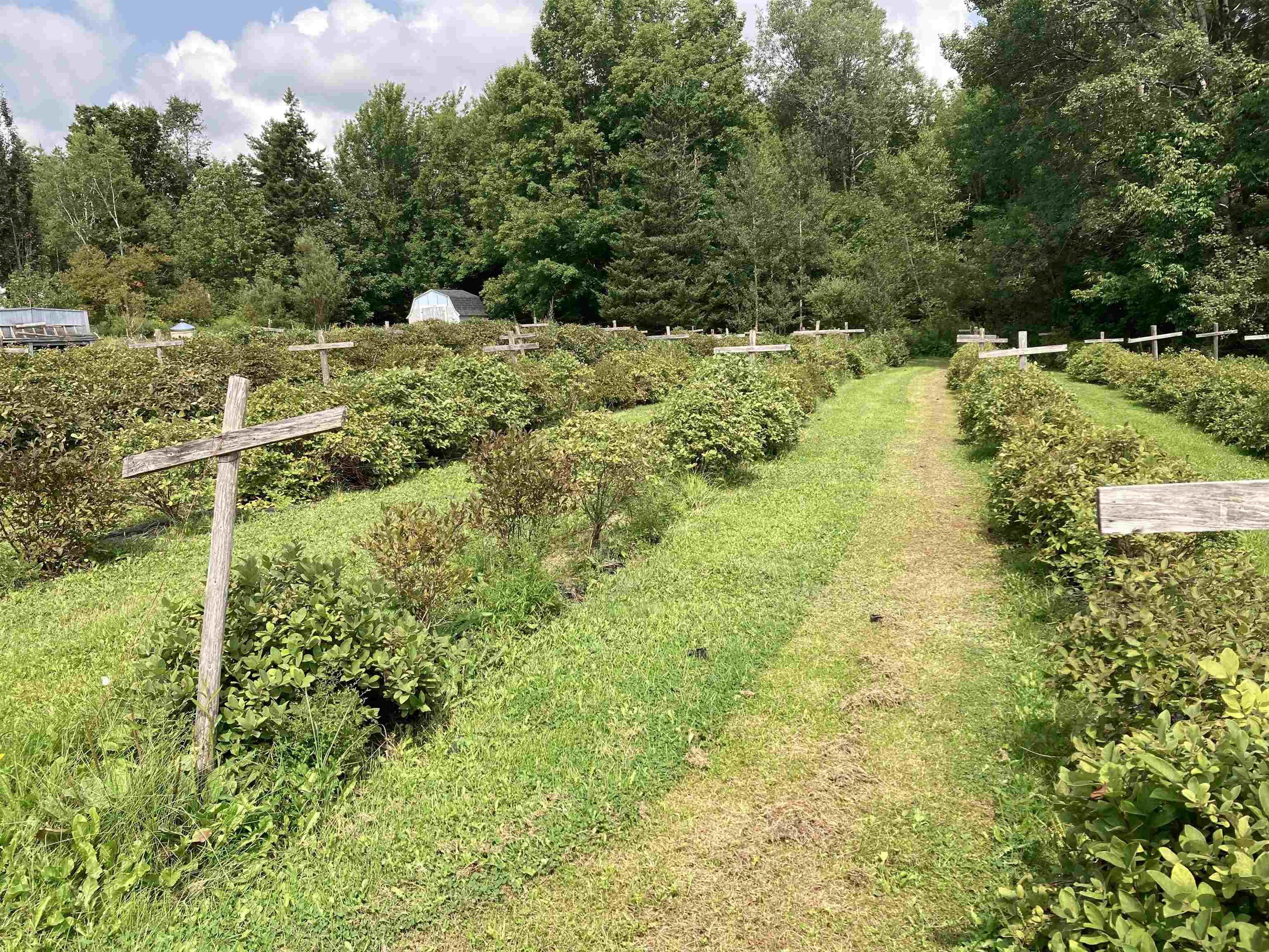 $449,900.00: 12648 Highway 3, Rhodes Corner