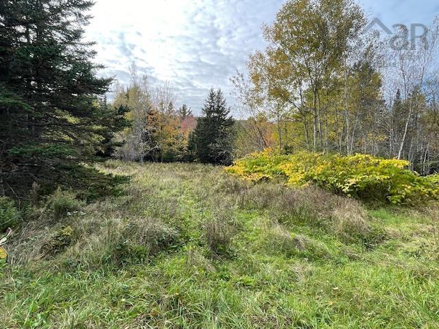 $49,500.00: P-5A Bishopville Road, Hants Border