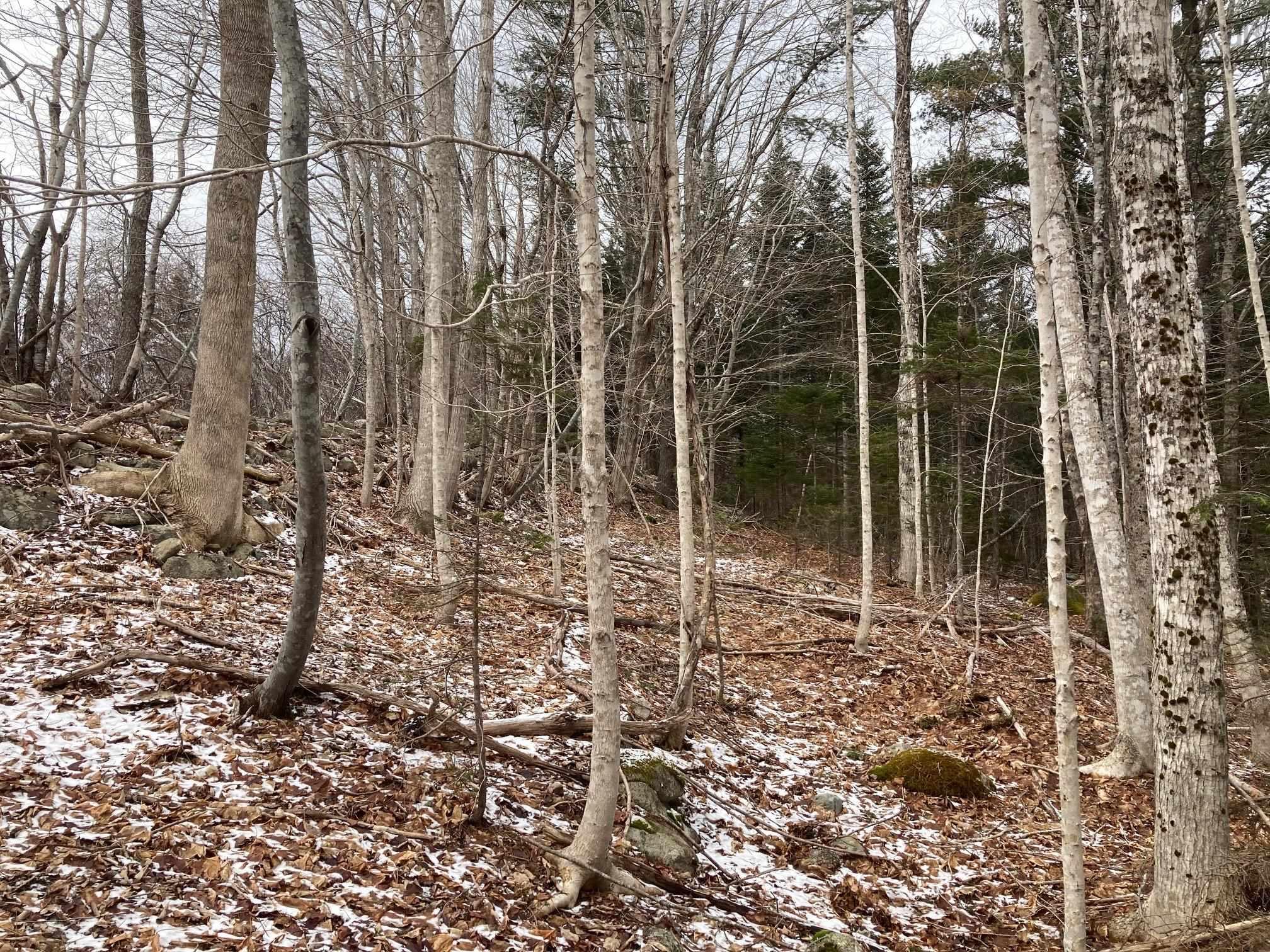 $49,900.00: 4 acres of 5440 Highway 325, Baker Settlement