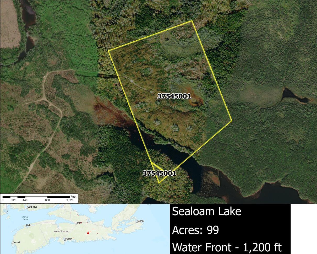 $99,000.00: Lot 8 Seloam Lake, Cameron Settlement