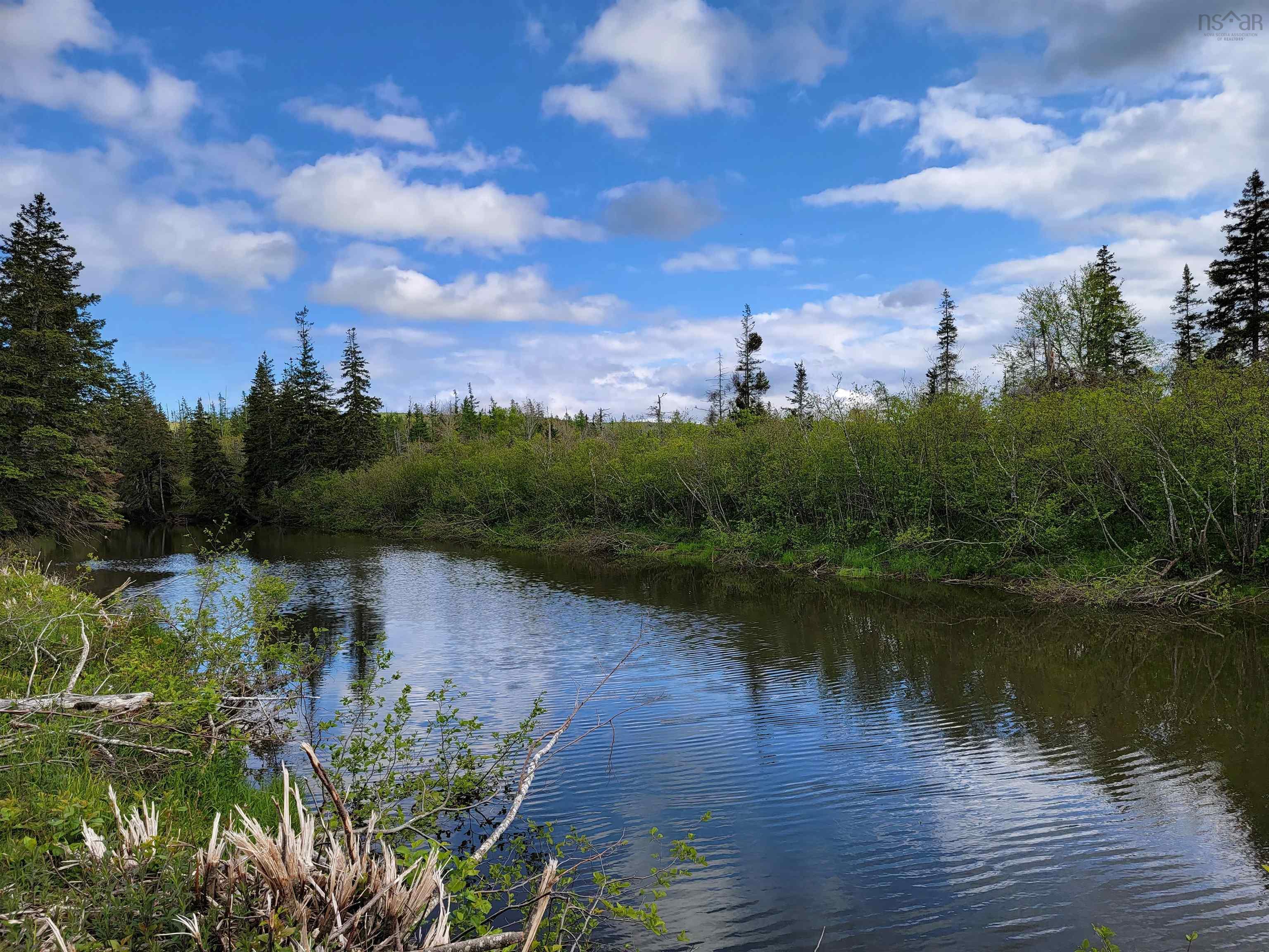 $35,000.00: BARREN Road, River Denys