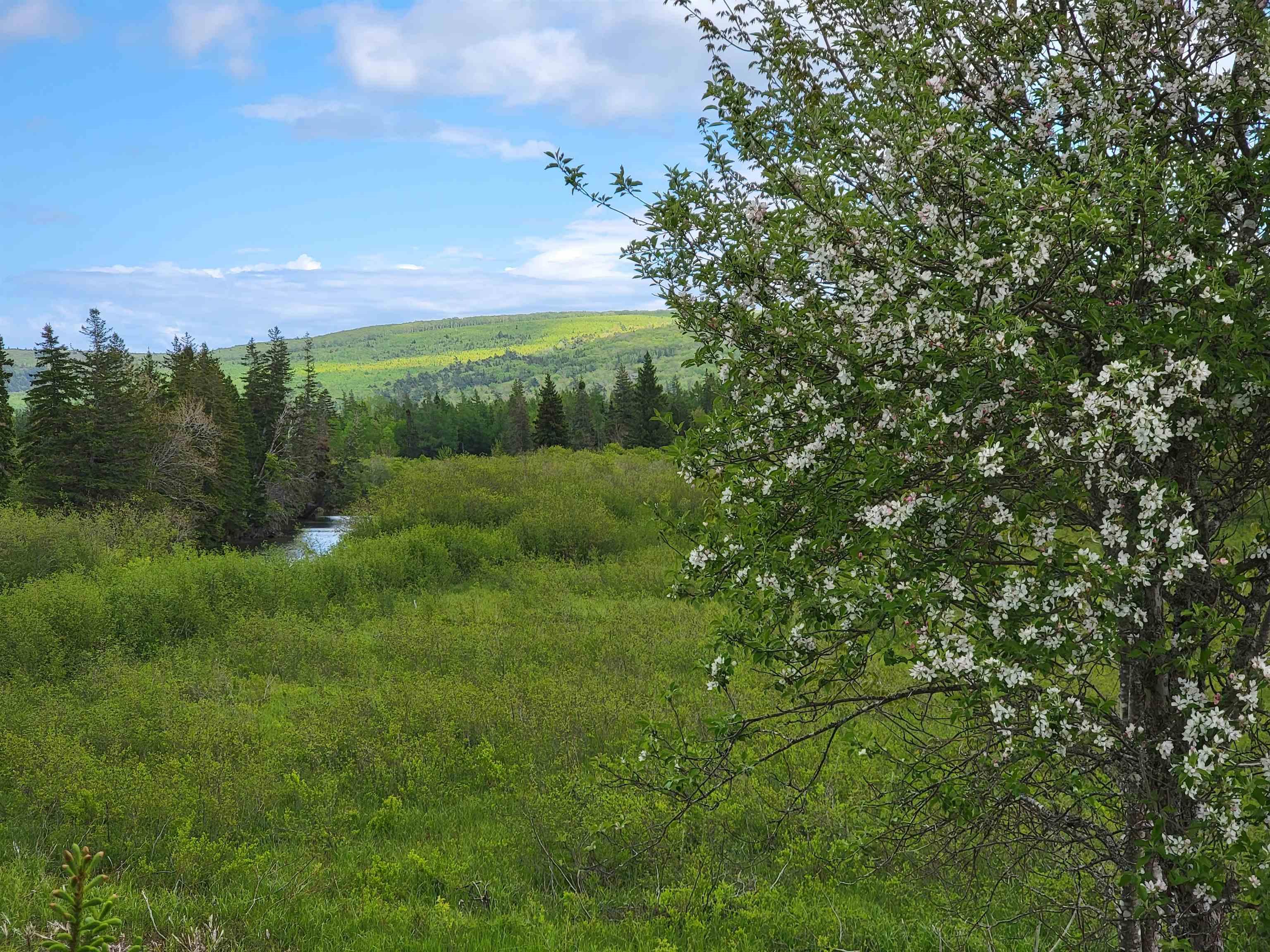 $35,000.00: BARREN Road, River Denys