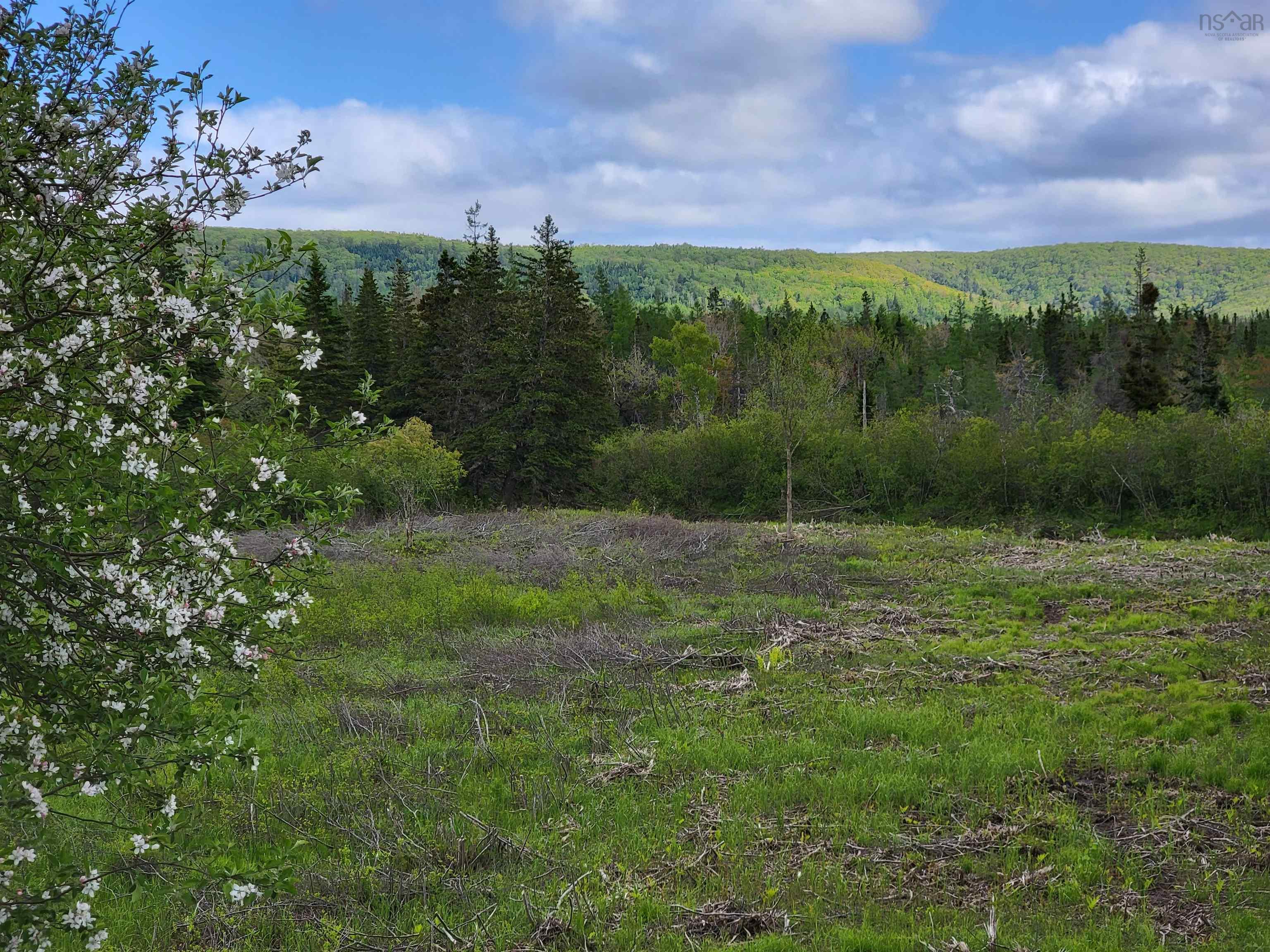 $35,000.00: BARREN Road, River Denys