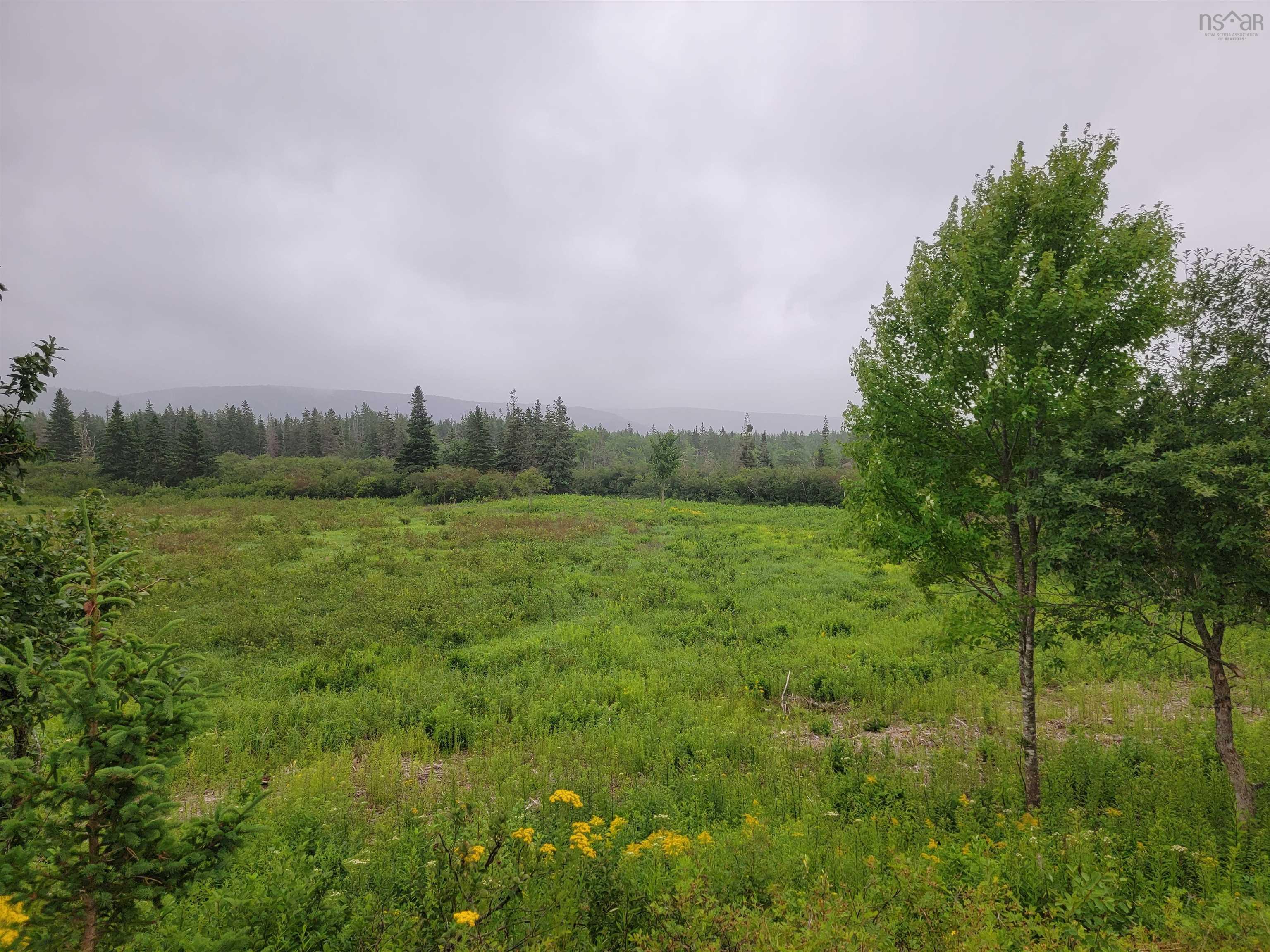 $35,000.00: BARREN Road, River Denys