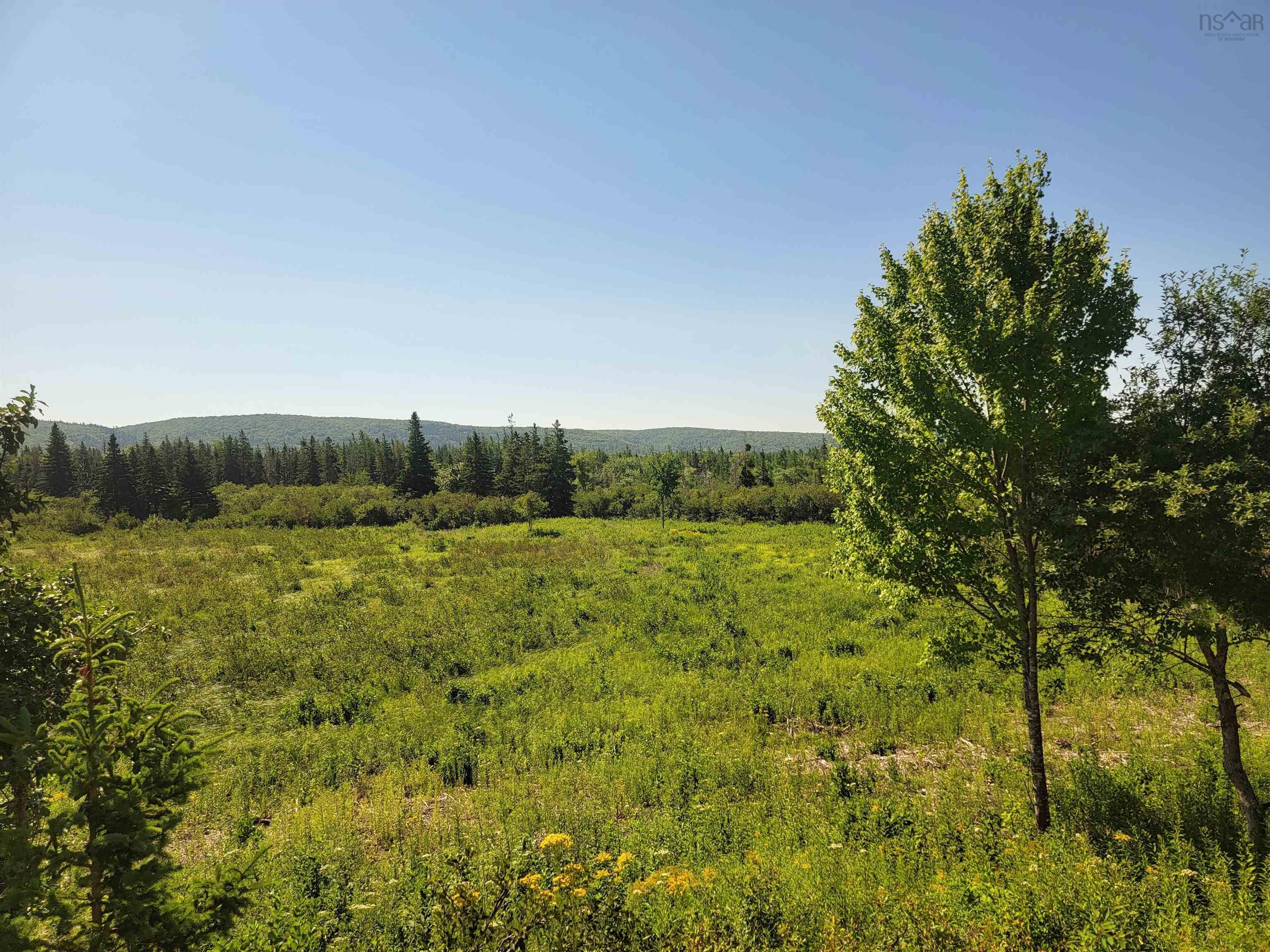 $35,000.00: BARREN Road, River Denys