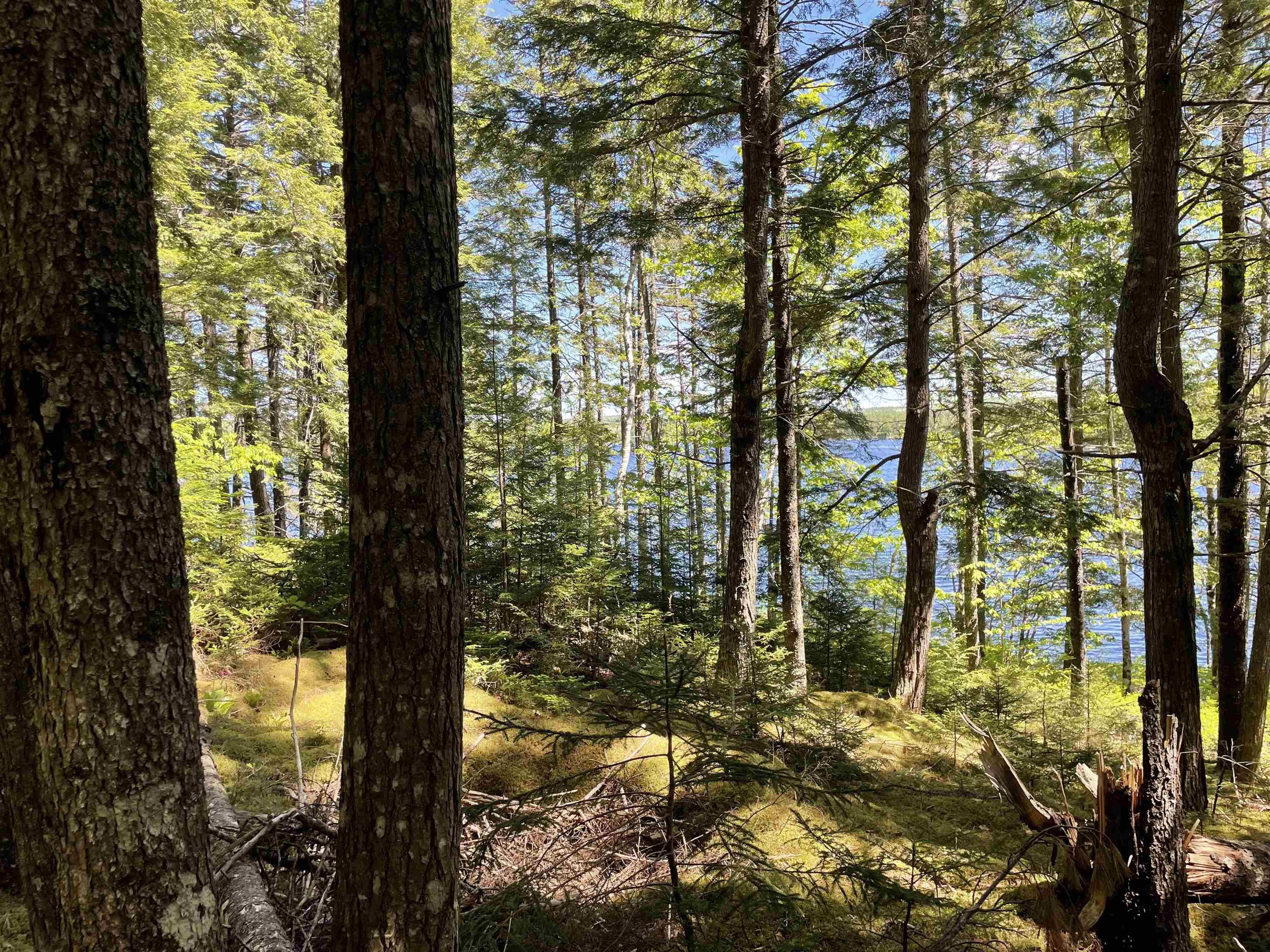 $29,900.00: Lot 1 Grant Lake Road, Chester Grant