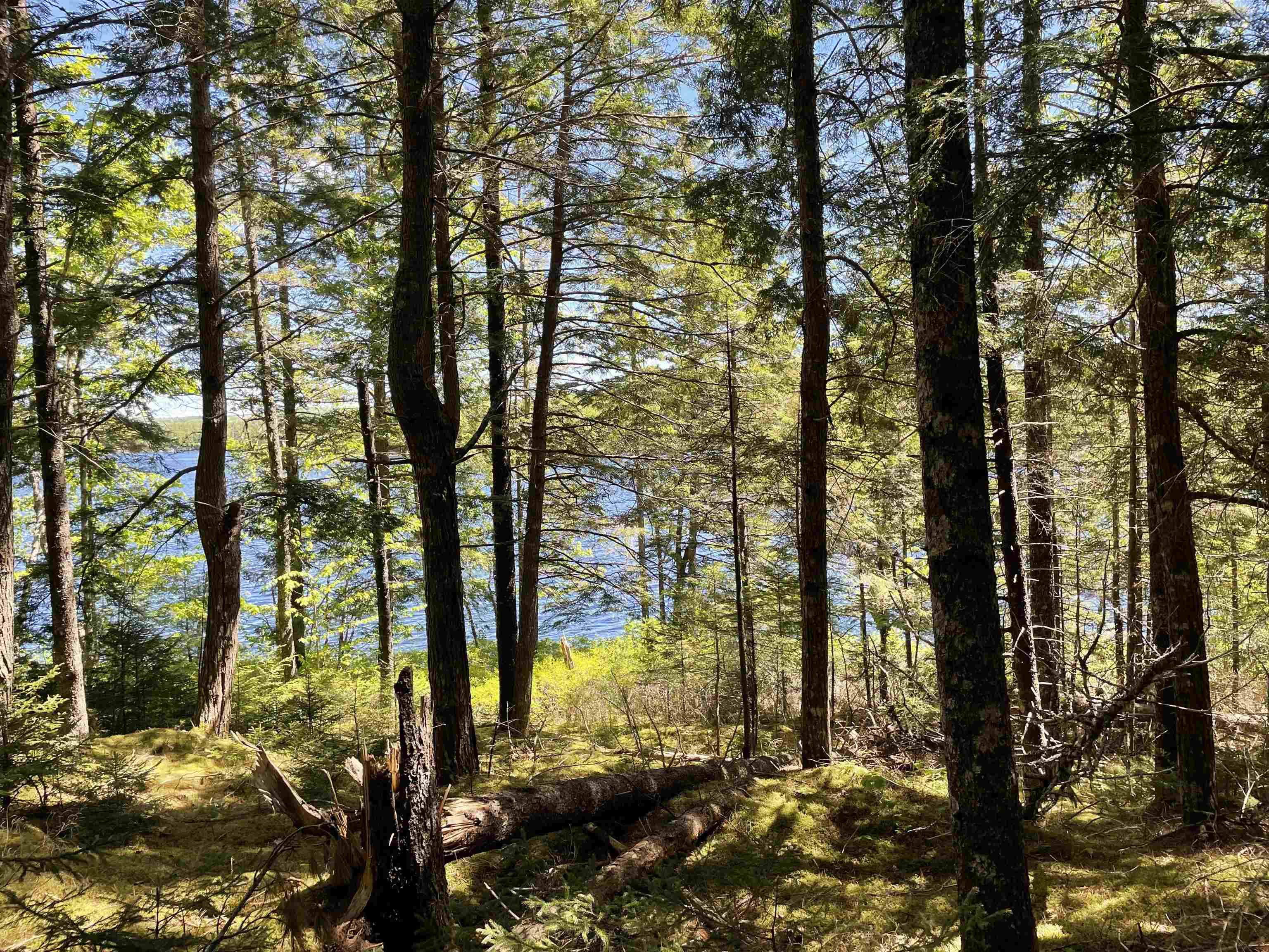$29,900.00: Lot 1 Grant Lake Road, Chester Grant