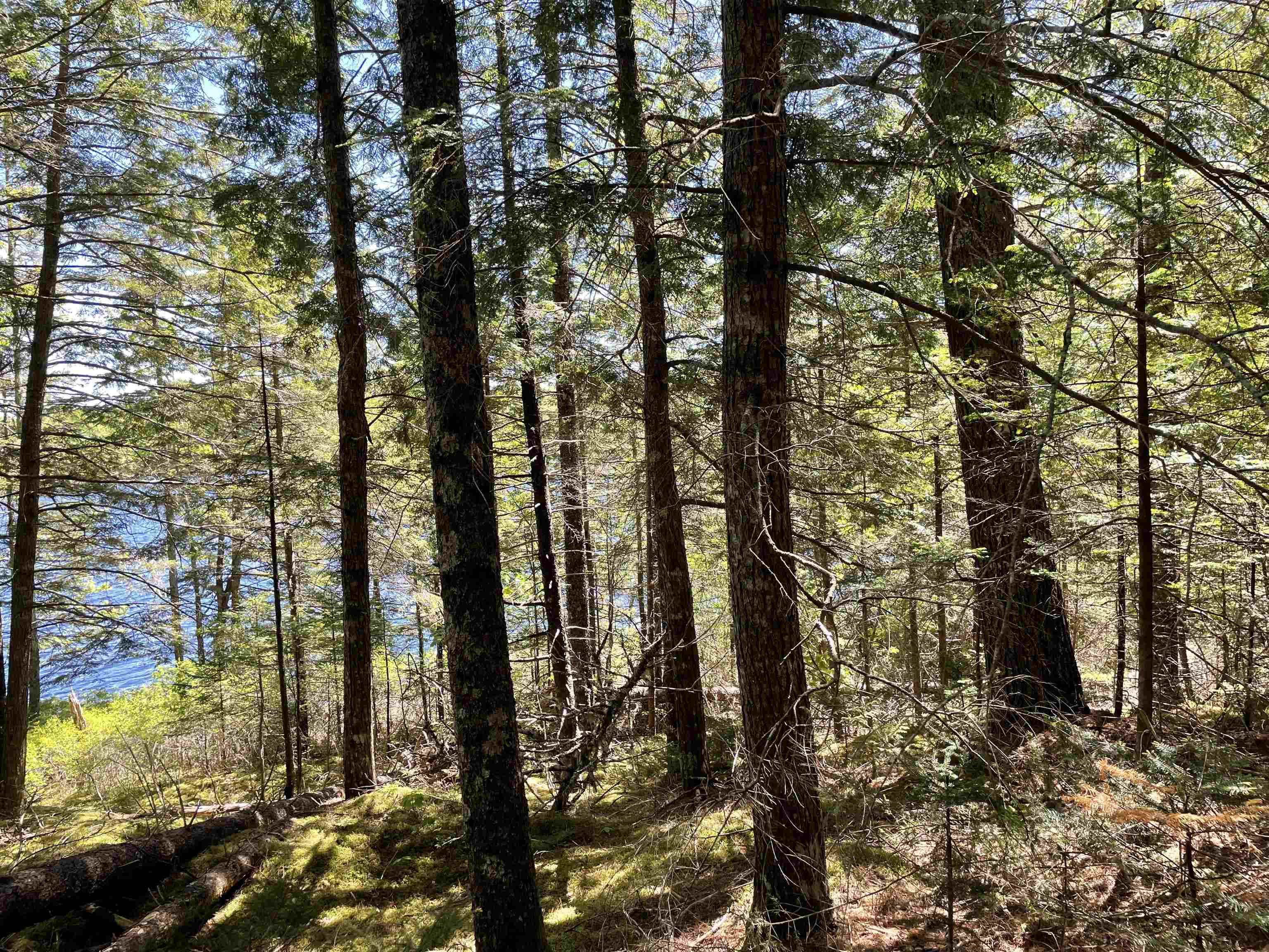 $29,900.00: Lot 1 Grant Lake Road, Chester Grant