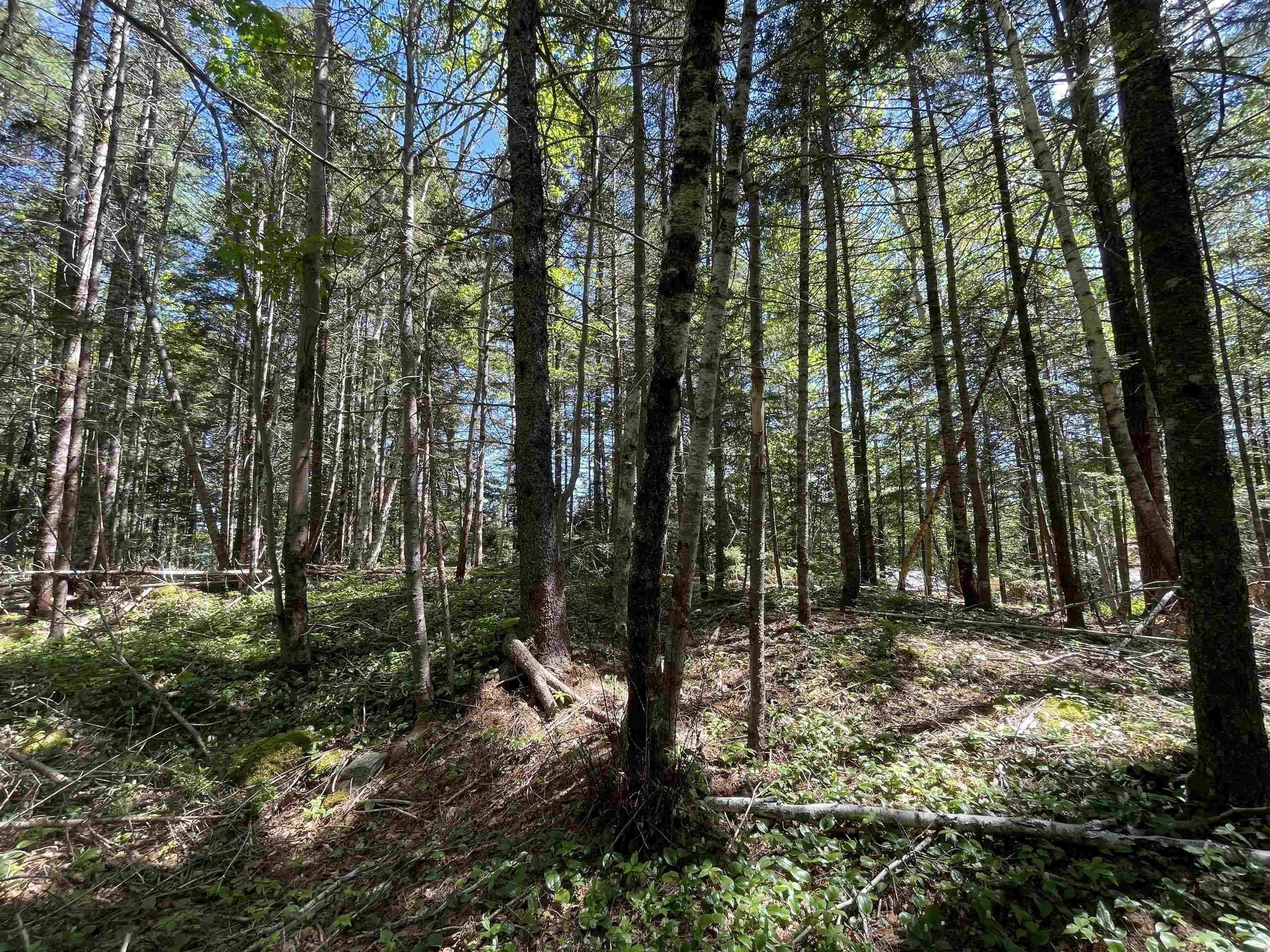 $29,900.00: Lot 1 Grant Lake Road, Chester Grant