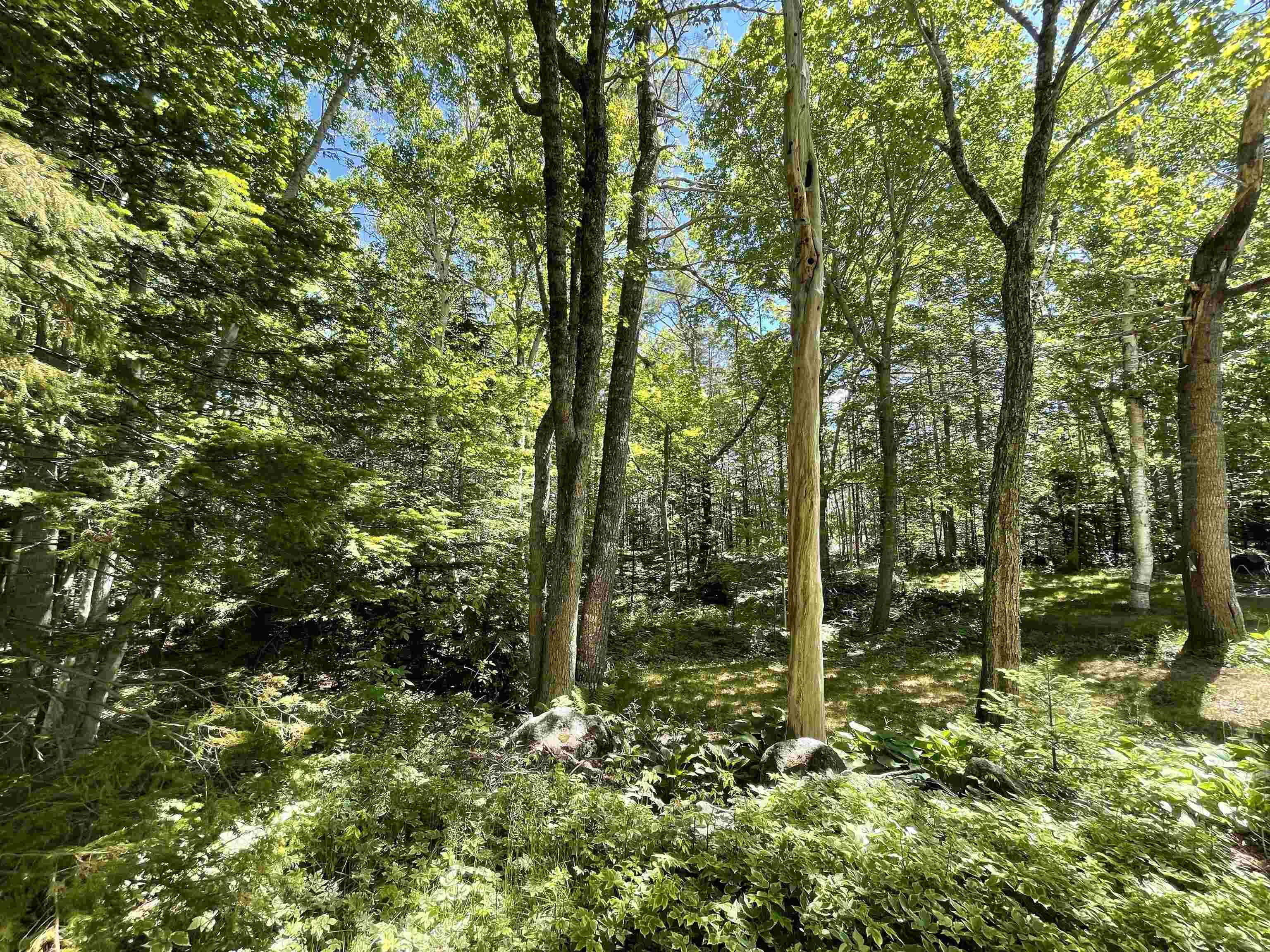 $29,900.00: Lot 1 Grant Lake Road, Chester Grant