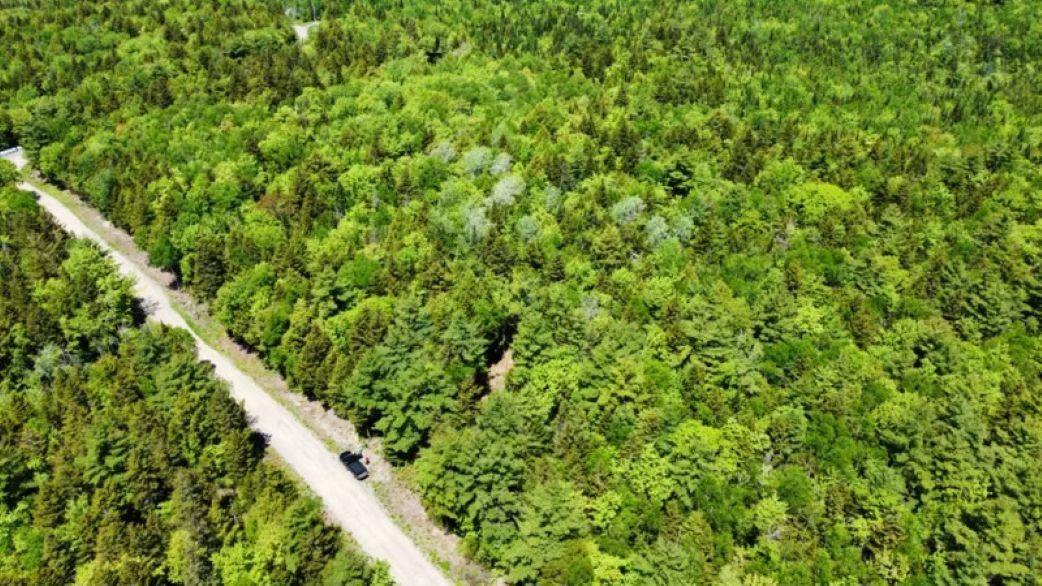 $49,000.00: 63 White Tail Pass, Vaughan