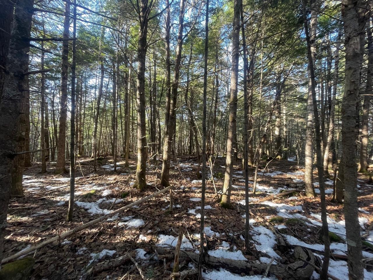 $49,000.00: 63 White Tail Pass, Vaughan