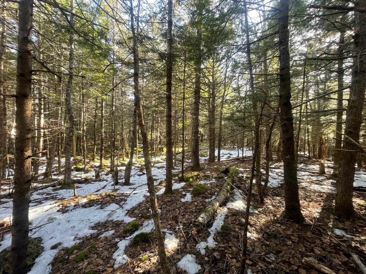 $49,000.00: 63 White Tail Pass, Vaughan