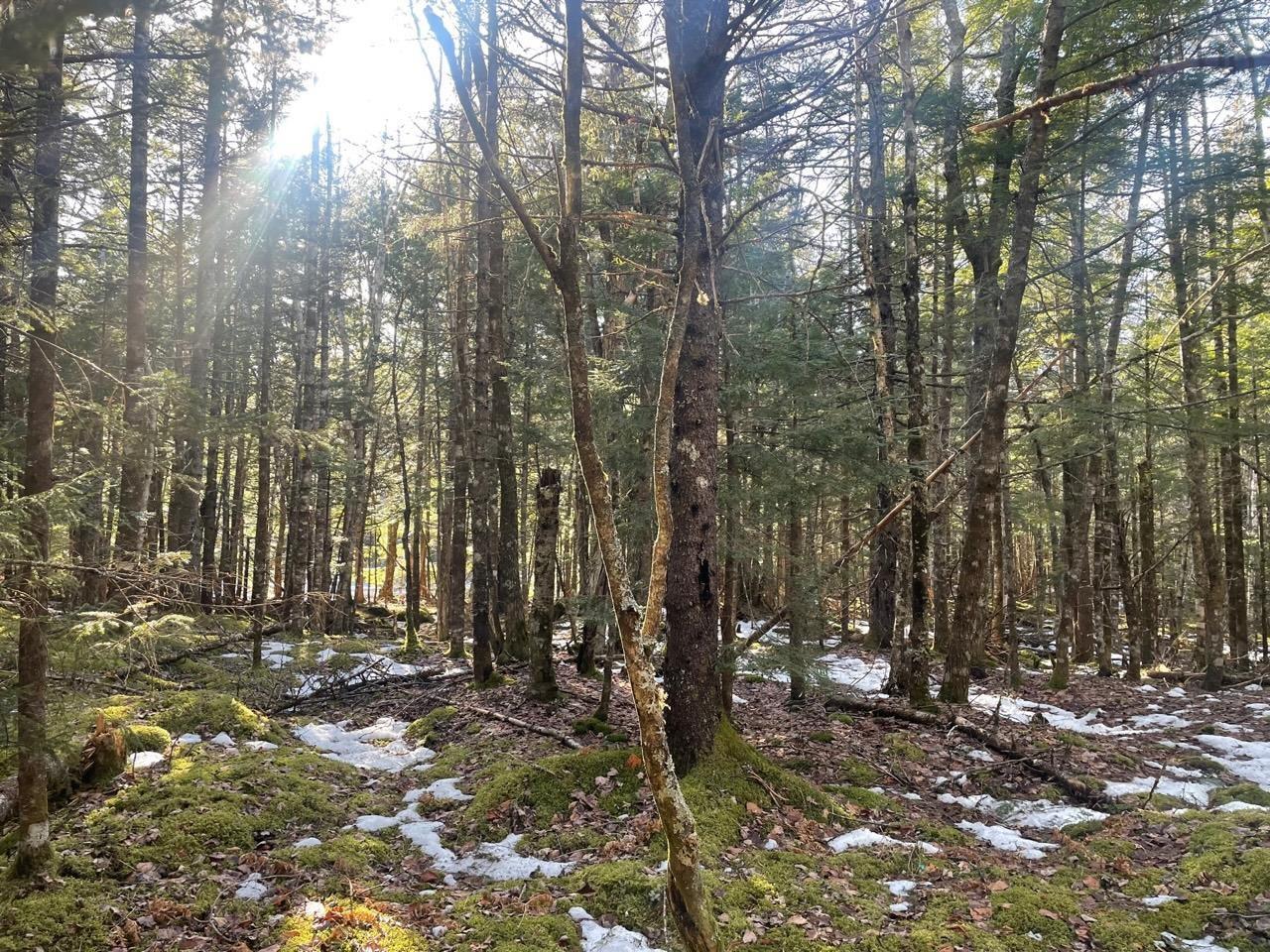 $49,000.00: 63 White Tail Pass, Vaughan