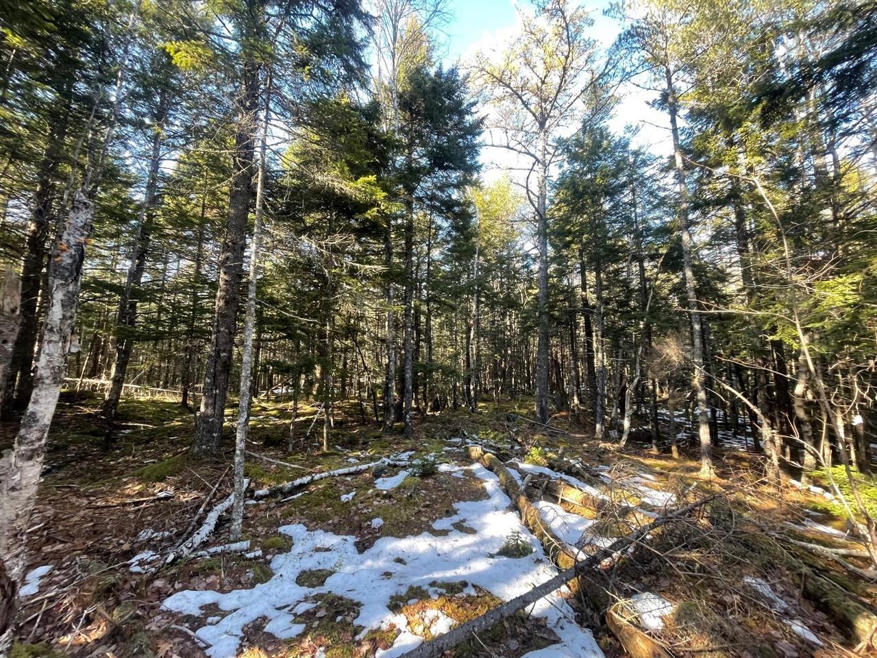 $49,000.00: 63 White Tail Pass, Vaughan