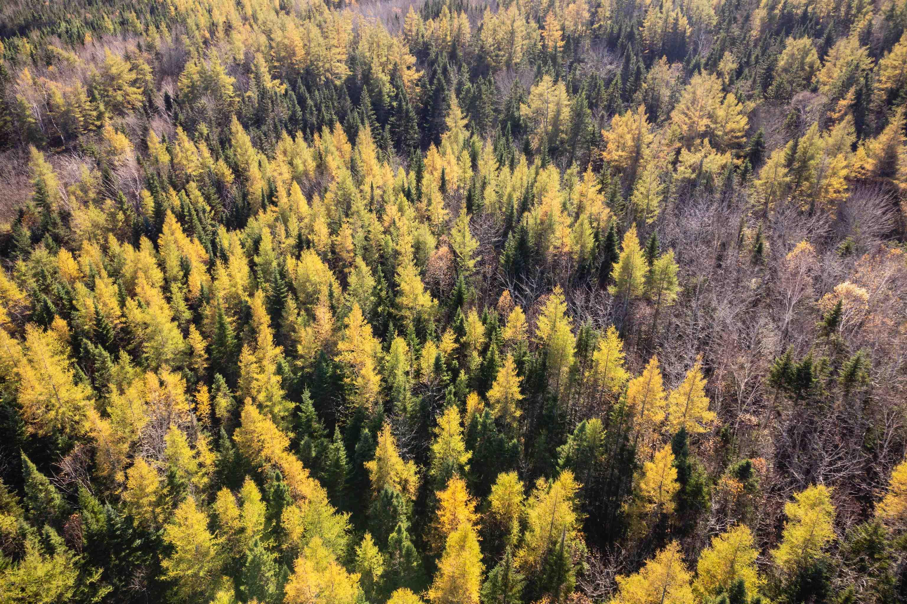 $79,000.00: Lot 4 Beaver Ln., Grantville