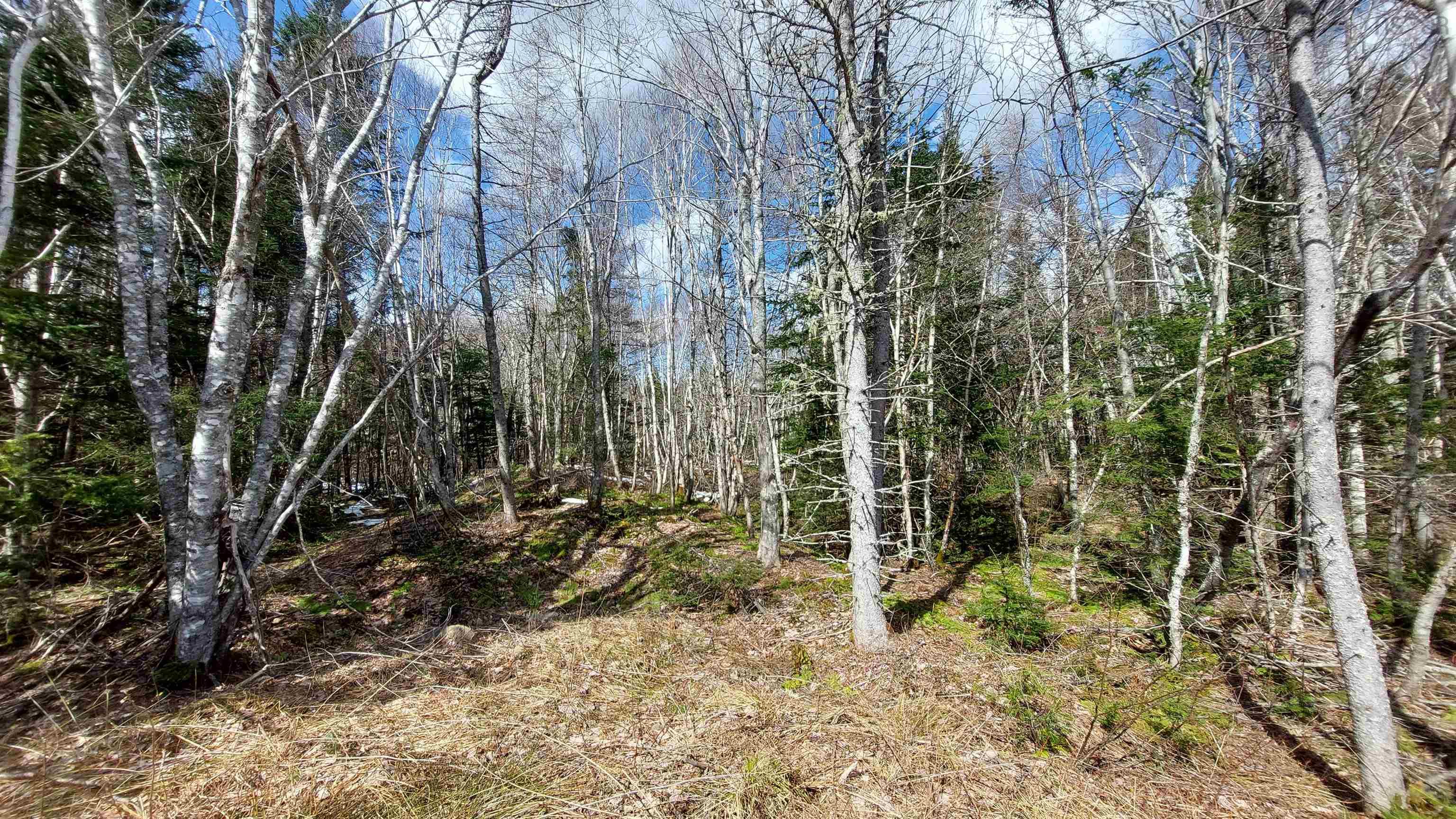 $79,000.00: Lot 4 Beaver Ln., Grantville