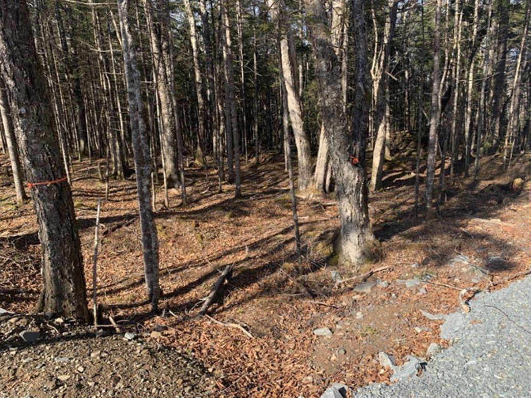 $698,000.00: 145 Waynesboro Avenue, Lucasville
