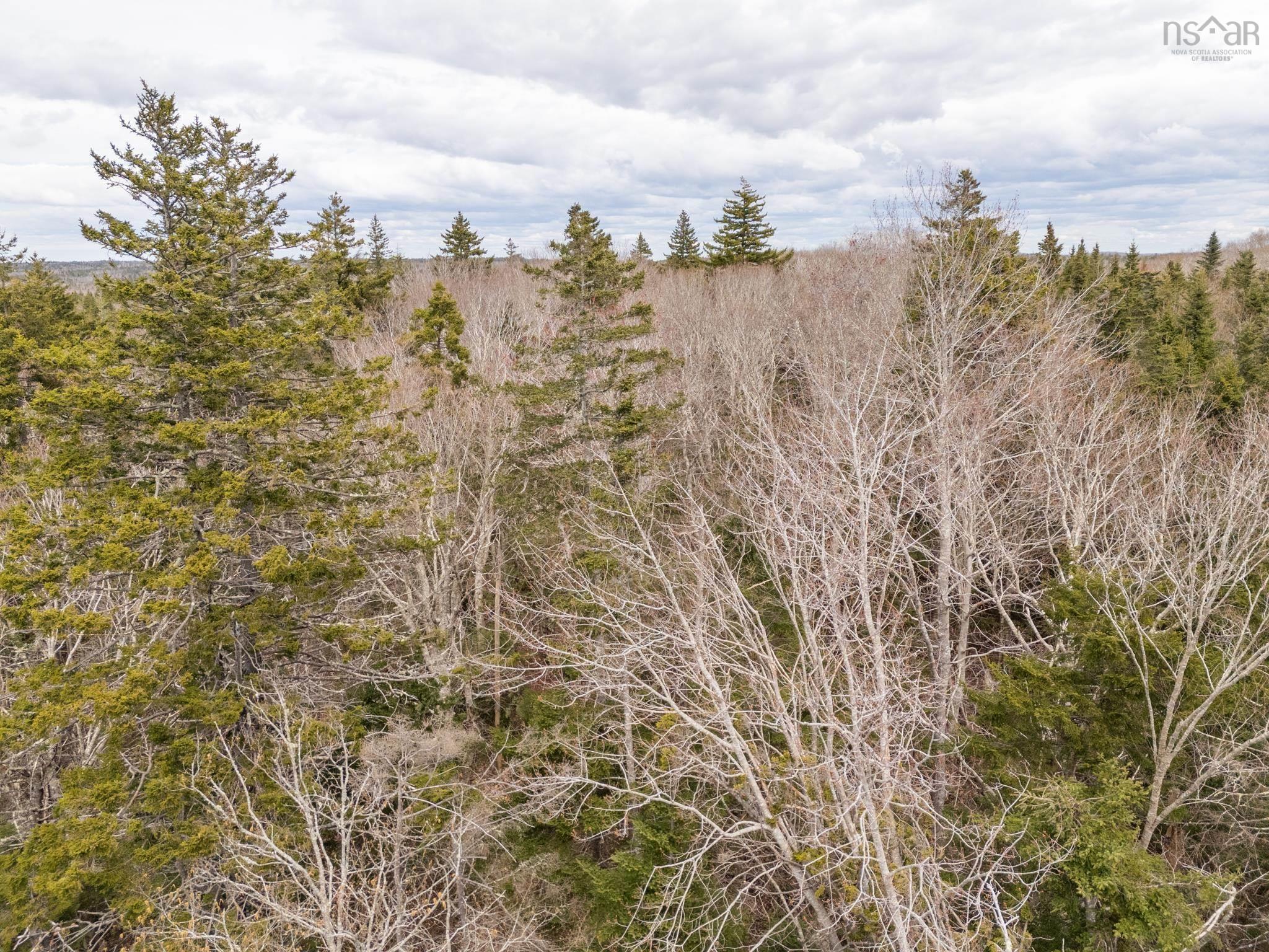 $47,500.00: Lot Belleville Road, Belleville