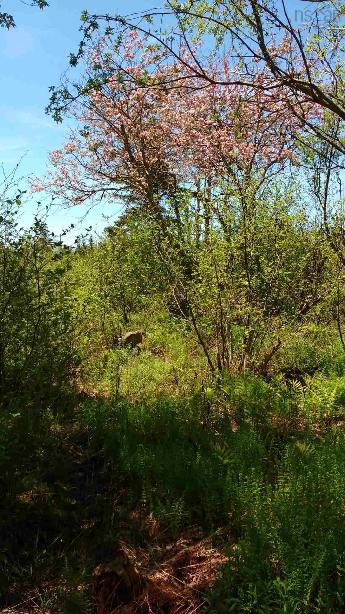 $20,000.00: Lots Lake George Road, South Ohio