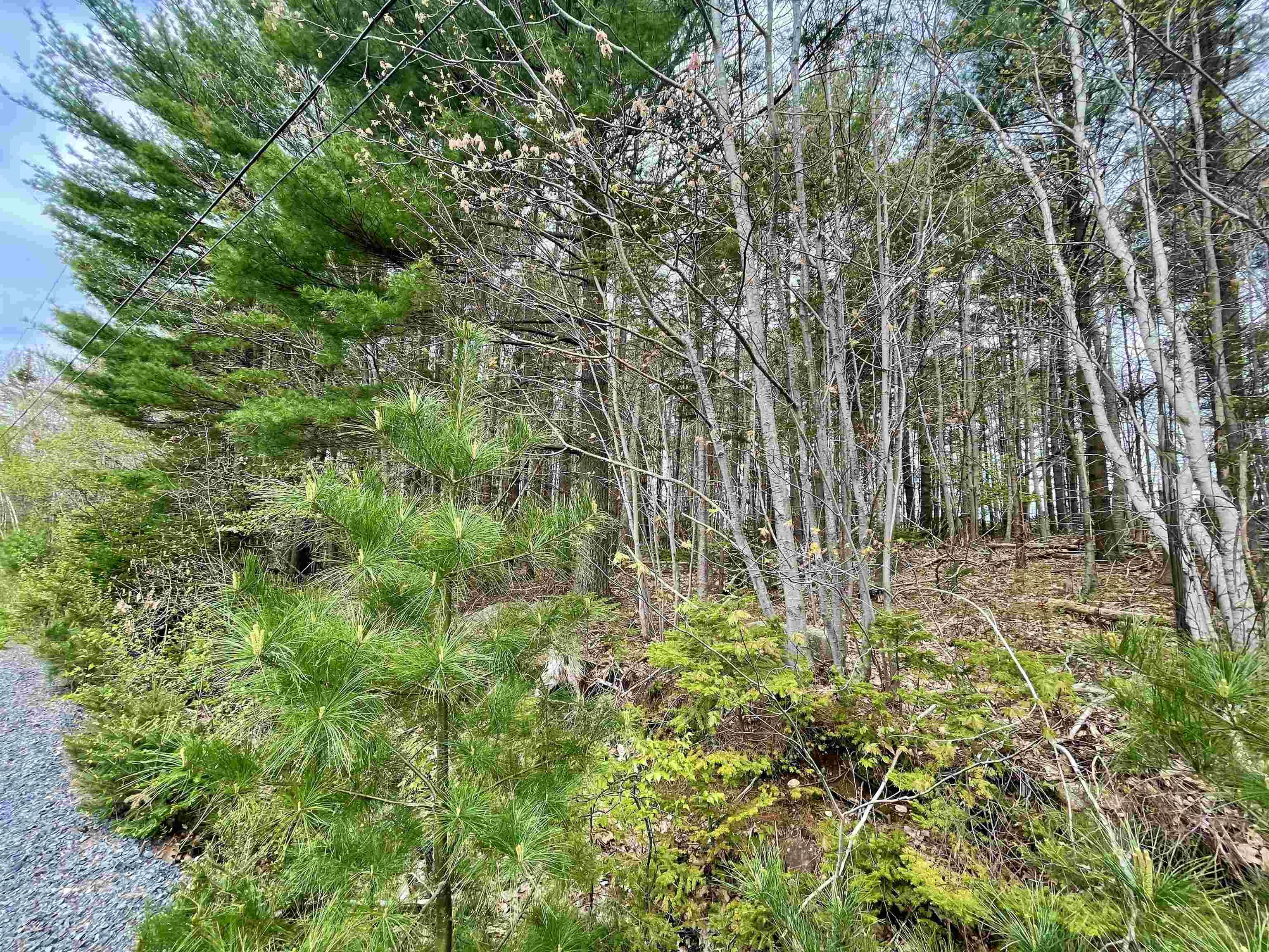 $285,000.00: Lot Highway 103, Oakhill