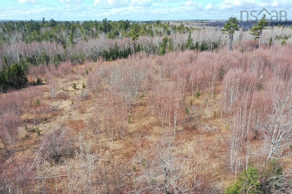 $24,500.00: Lot 6 No 368 Highway Fountain Road, Wallace Bay