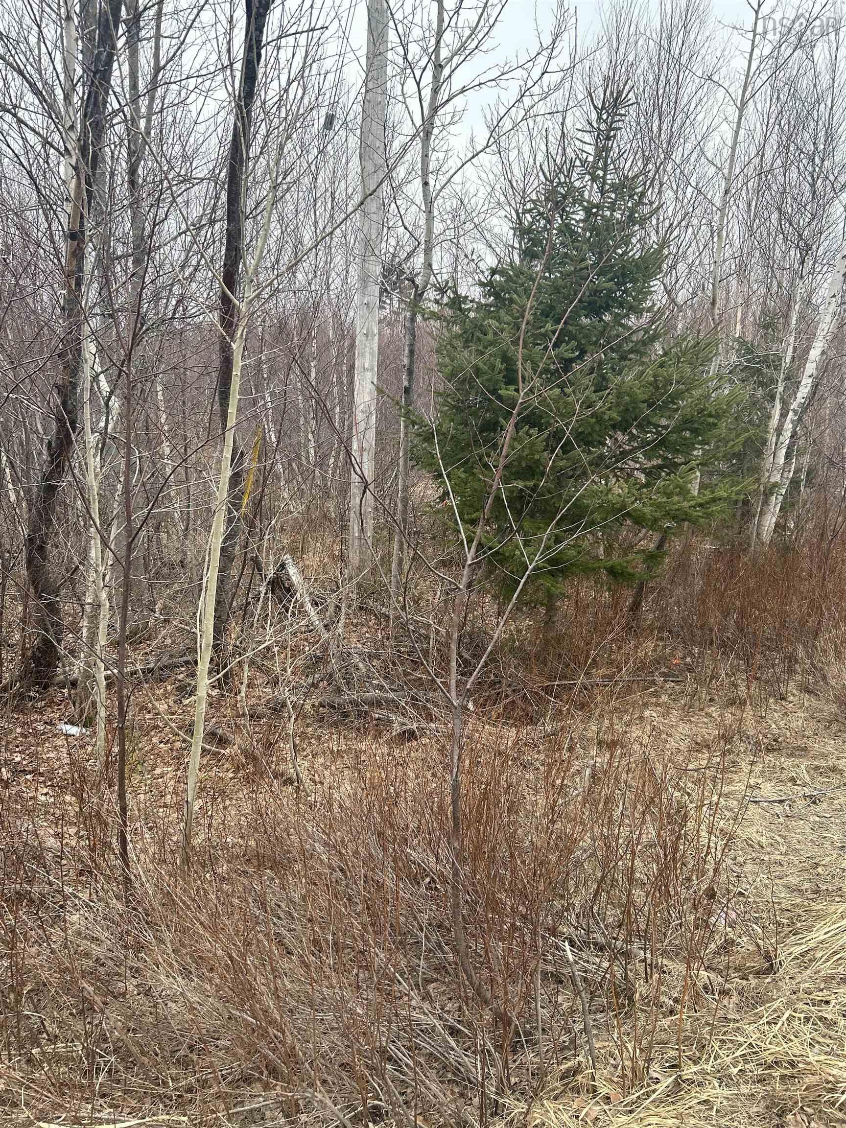 $24,500.00: Lot 6 No 368 Highway Fountain Road, Wallace Bay