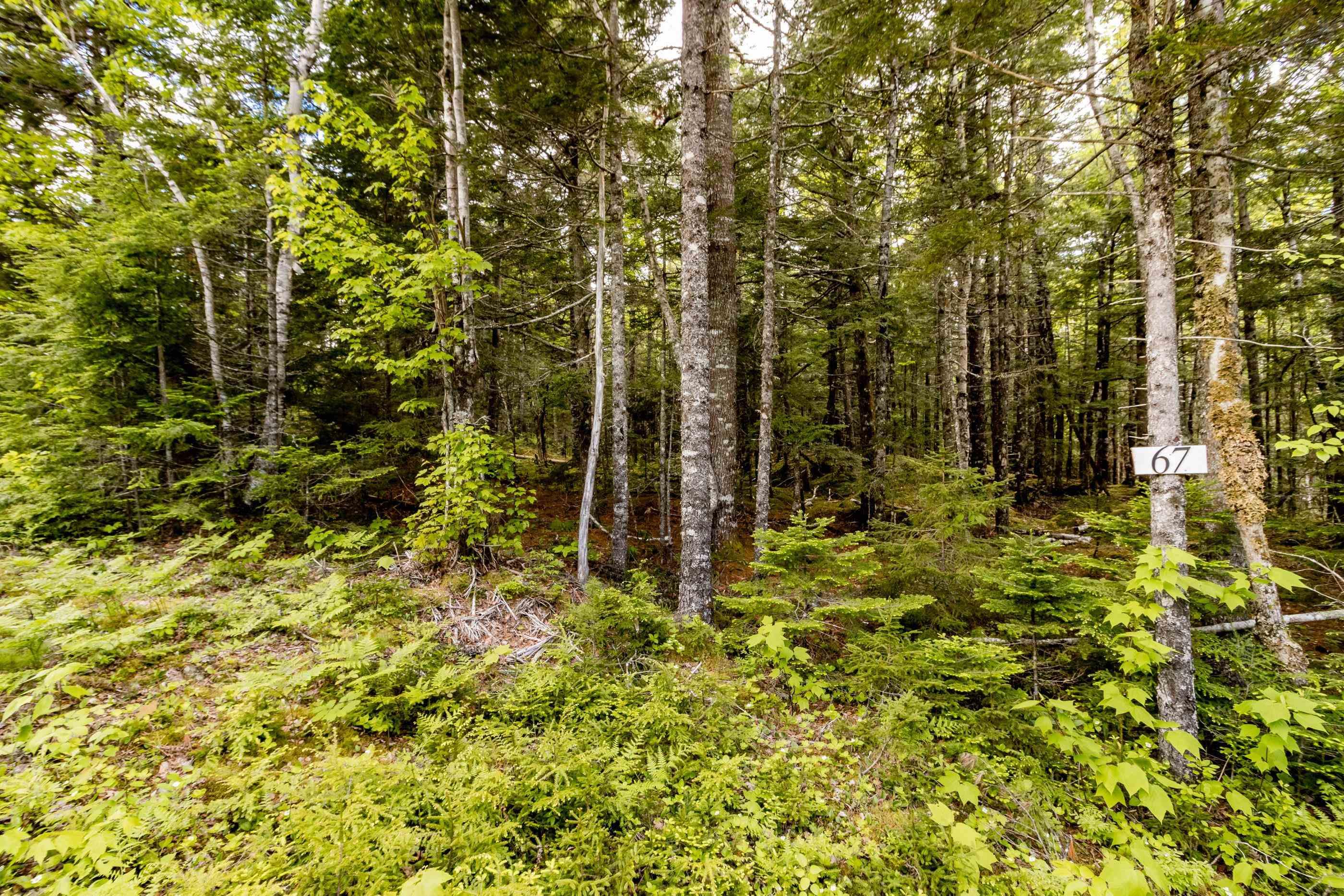 $59,000.00: Lot 67 White Tail Pass, Vaughan