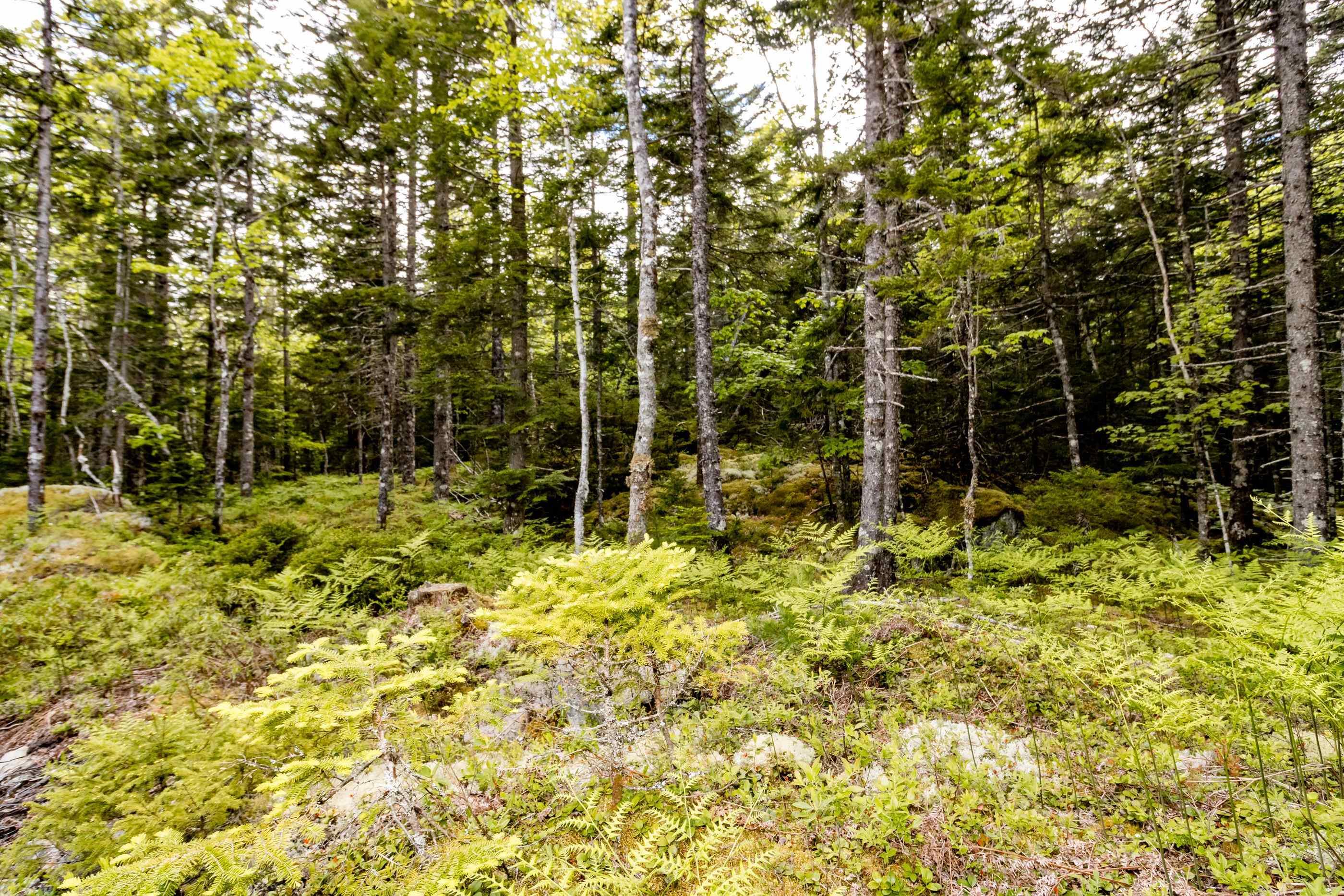$59,000.00: Lot 67 White Tail Pass, Vaughan