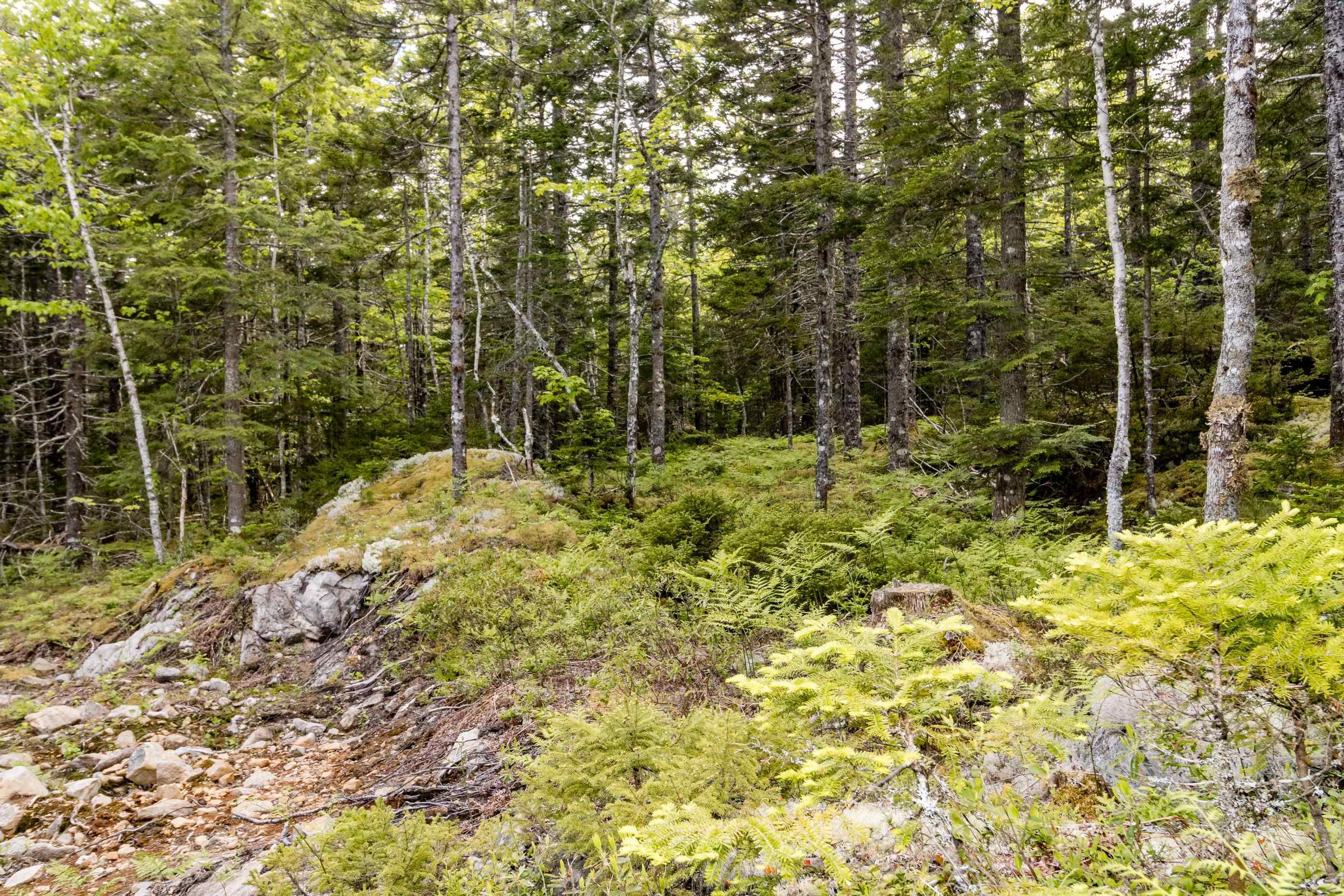 $59,000.00: Lot 67 White Tail Pass, Vaughan