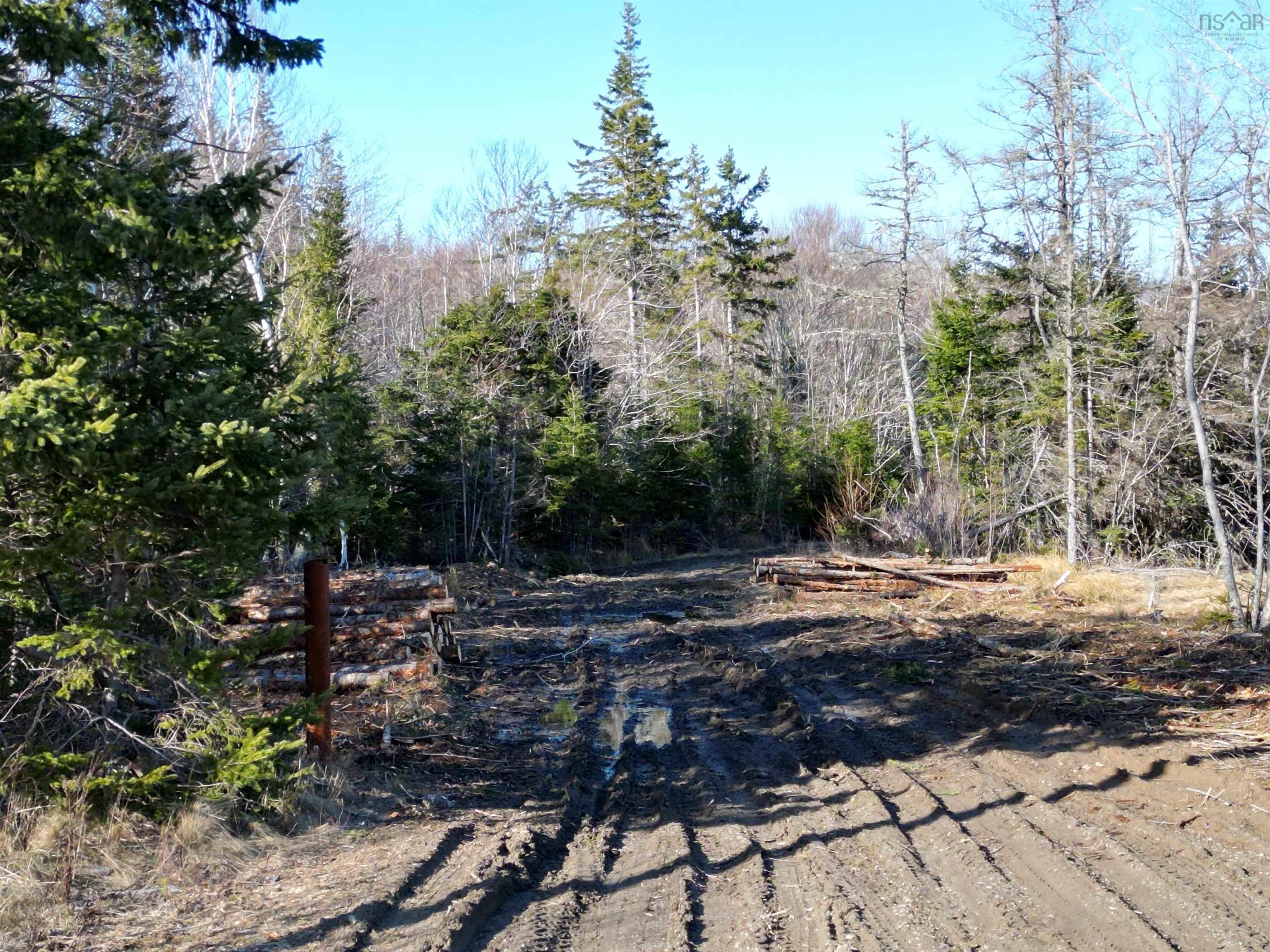 $95,000.00: Caribou Marsh Road, Albert Bridge