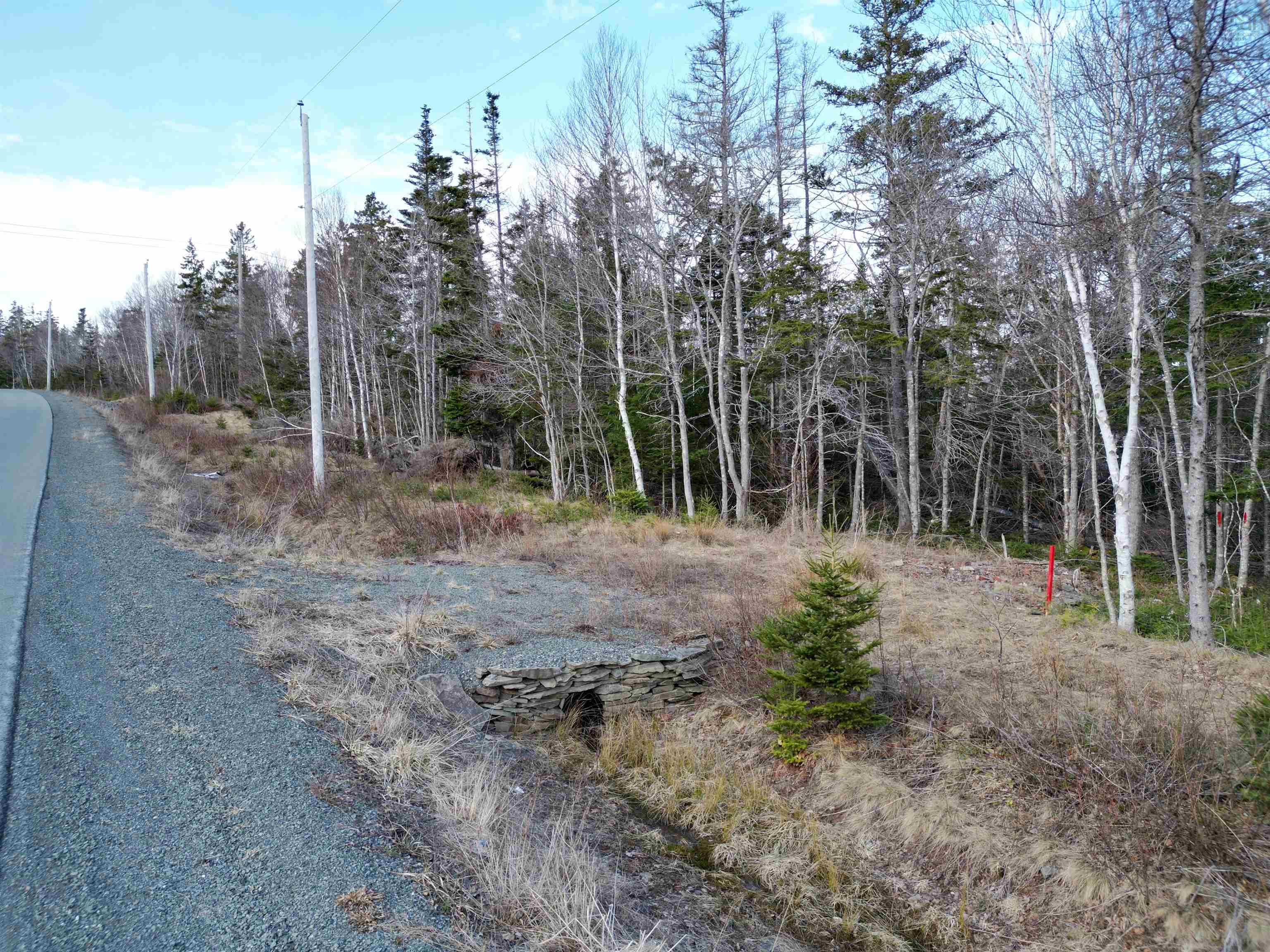 $95,000.00: Caribou Marsh Road, Albert Bridge