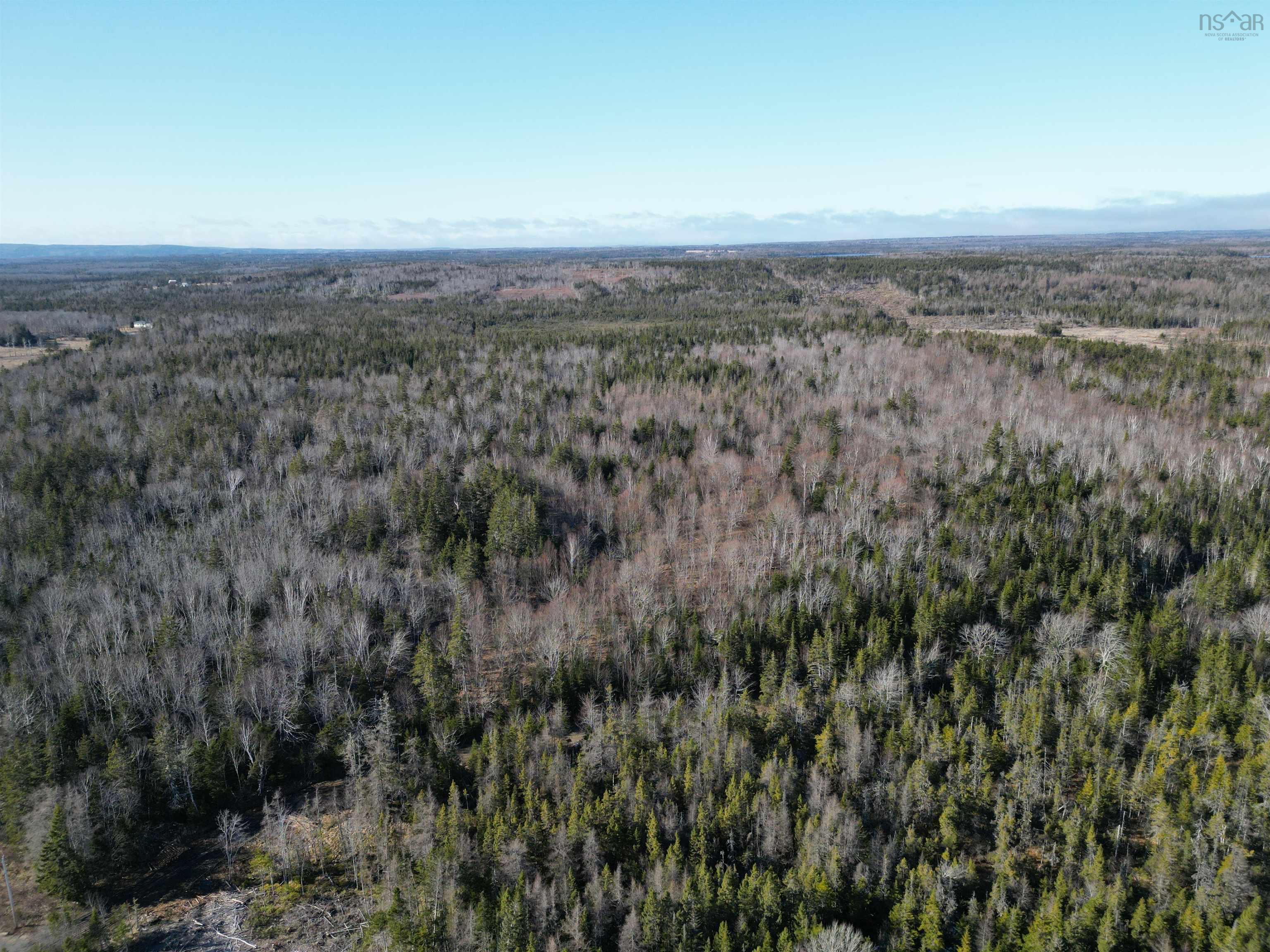$95,000.00: Caribou Marsh Road, Albert Bridge
