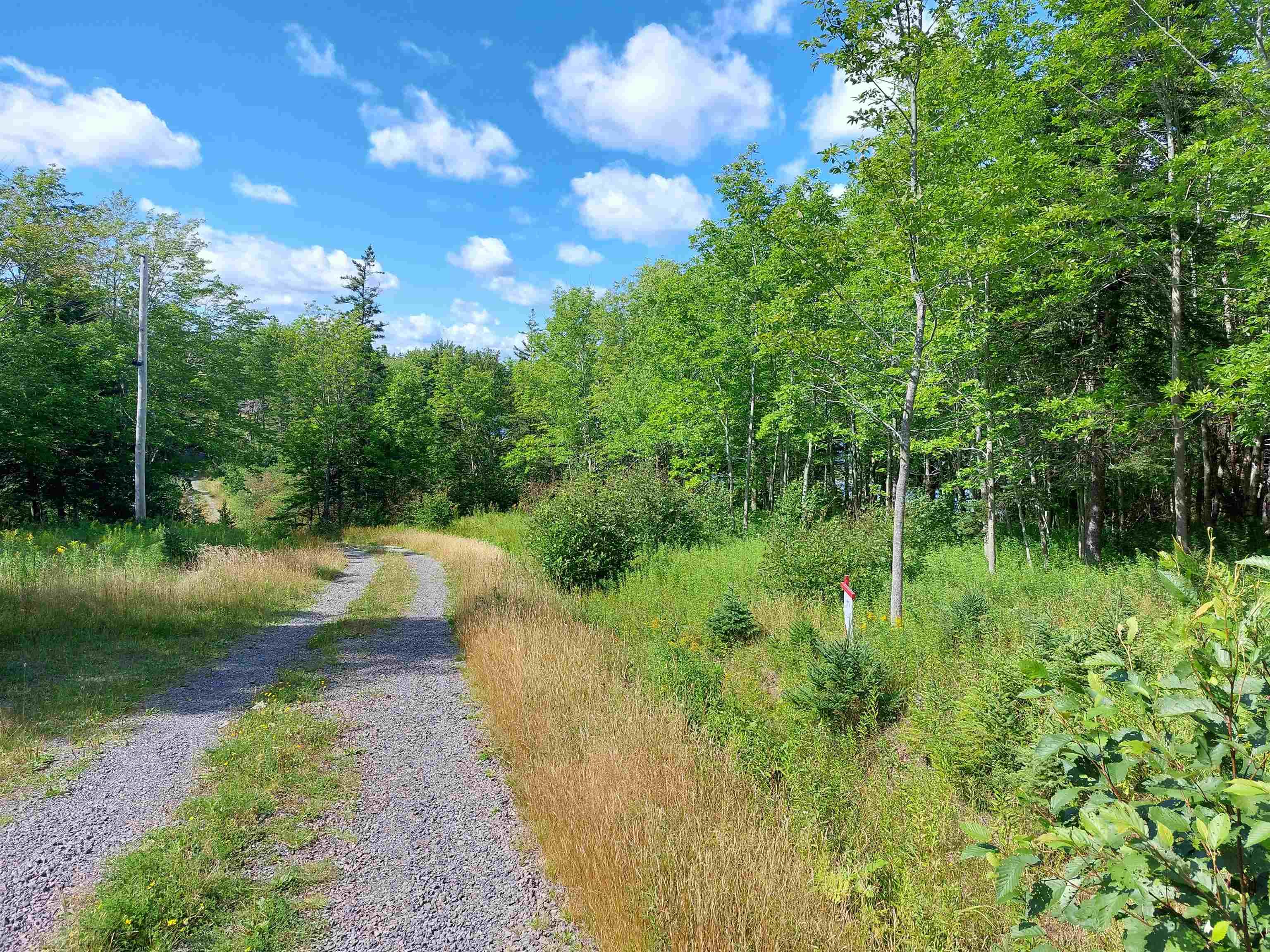 $49,500.00: Lot 6 MacLeods Pond Rd., Roberta