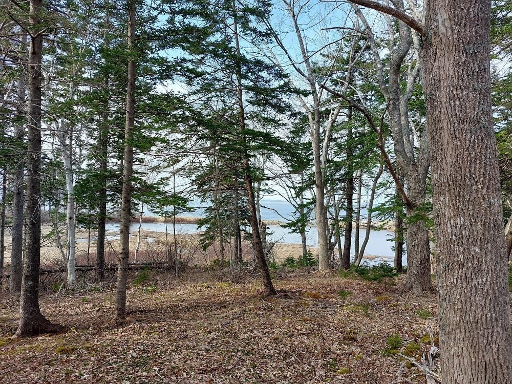 $49,500.00: Lot 6 MacLeods Pond Rd., Roberta