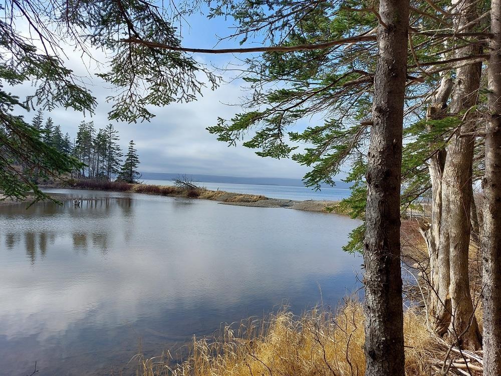 $49,500.00: Lot 6 MacLeods Pond Rd., Roberta
