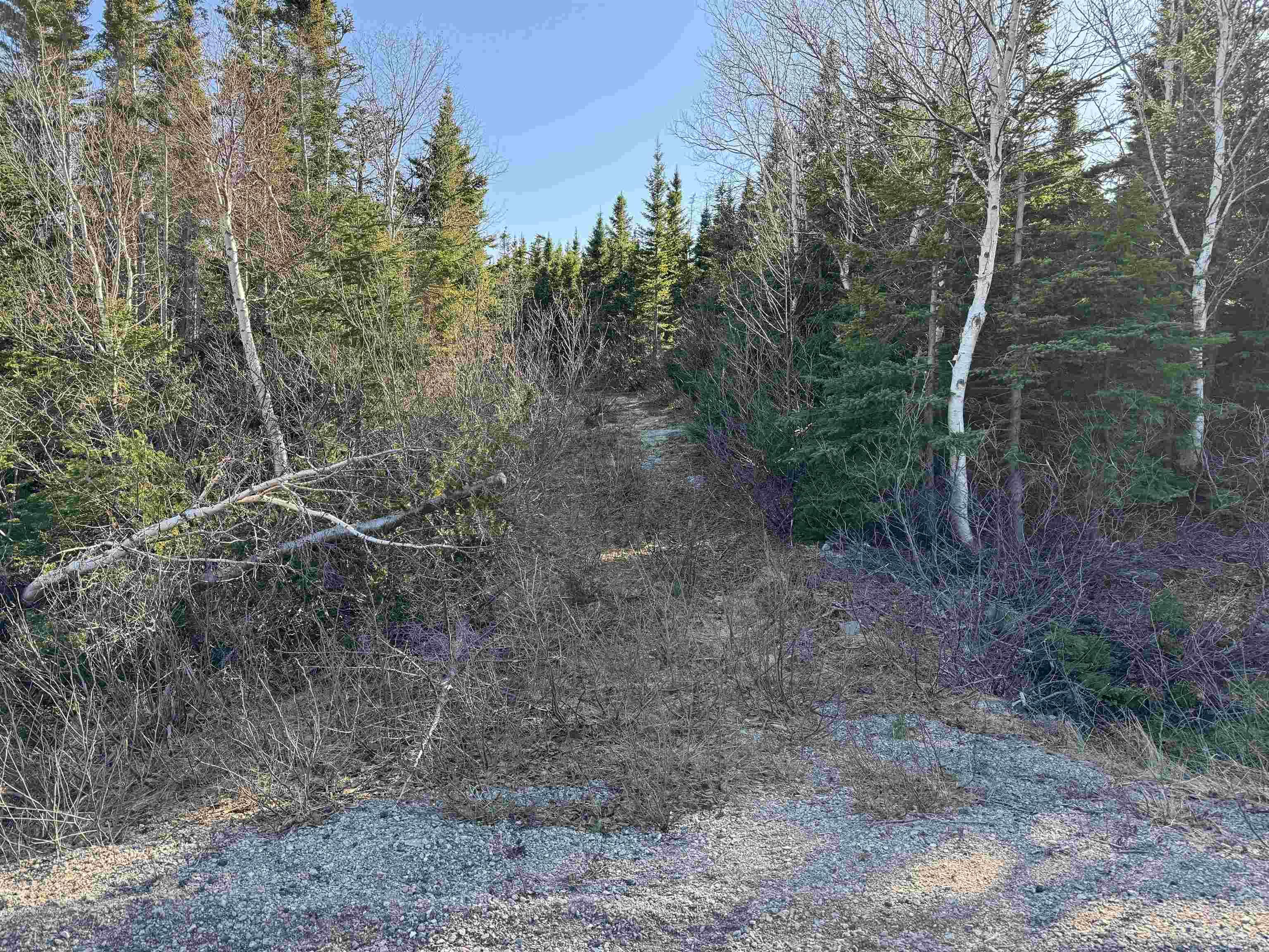 $54,900.00: White Point Road, Smelt Brook