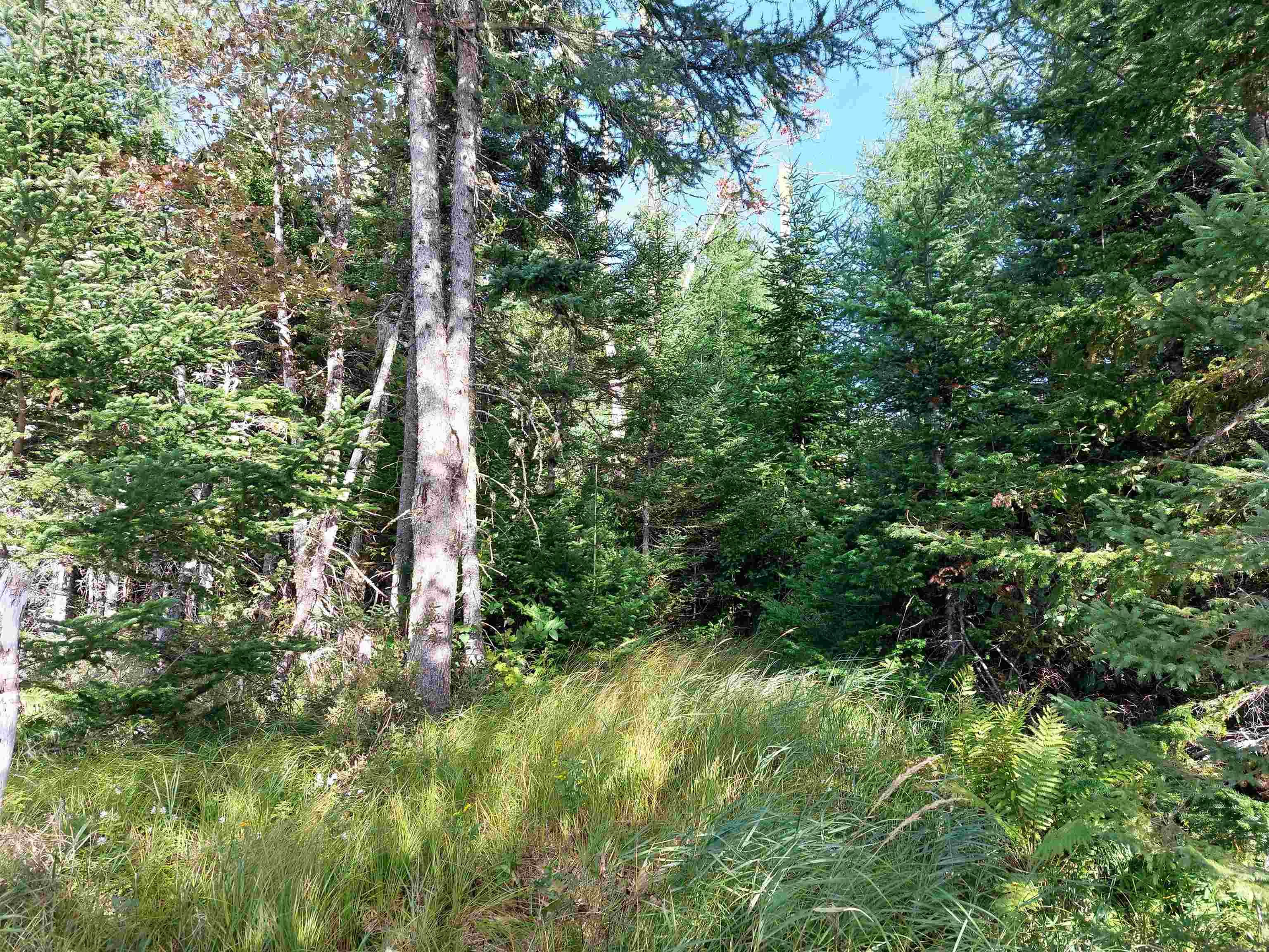 $29,500.00: 125 Doris Lane, Kempt Road