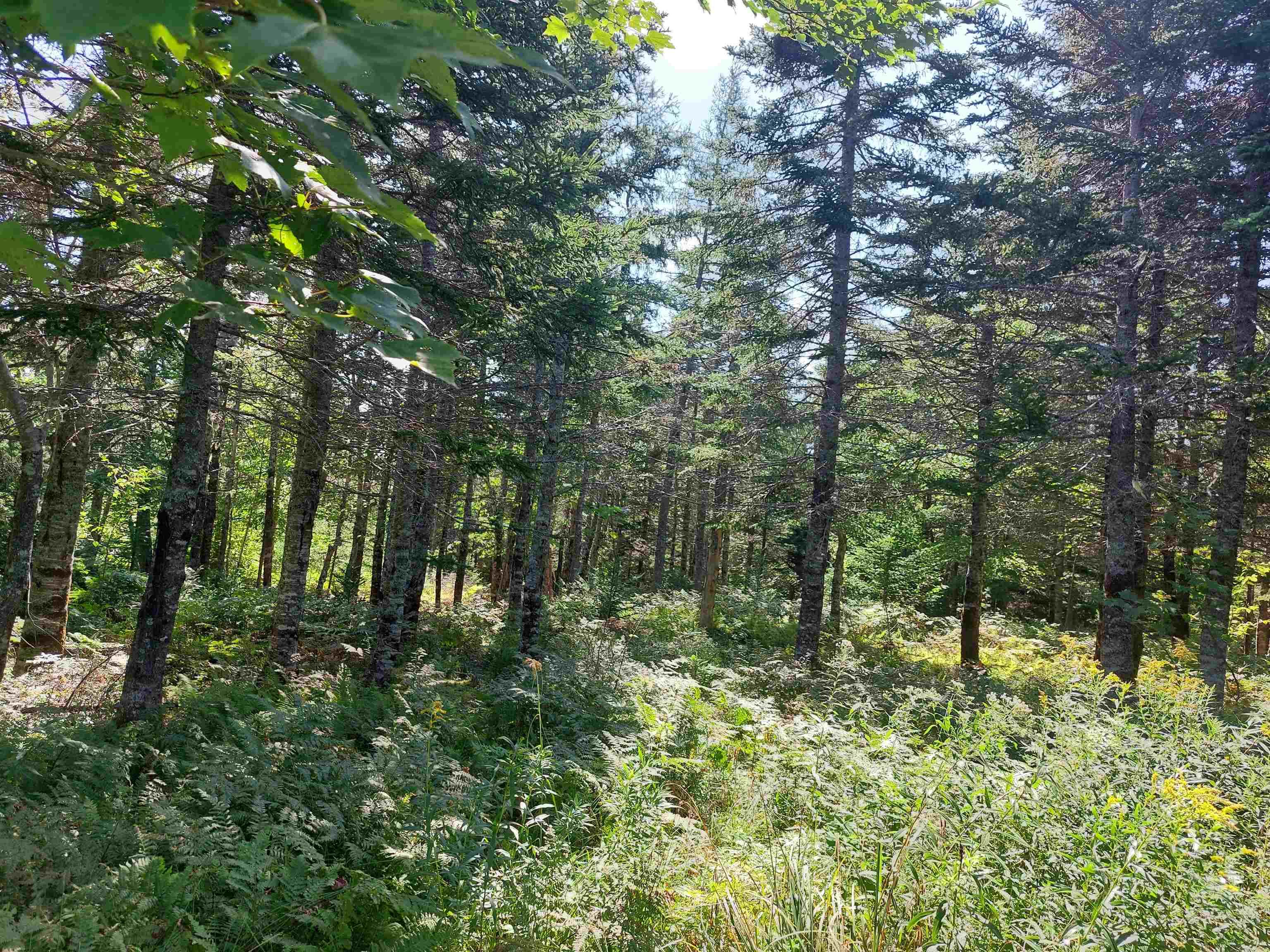 $29,000.00: Lot 9 West Bay Hwy, French Cove