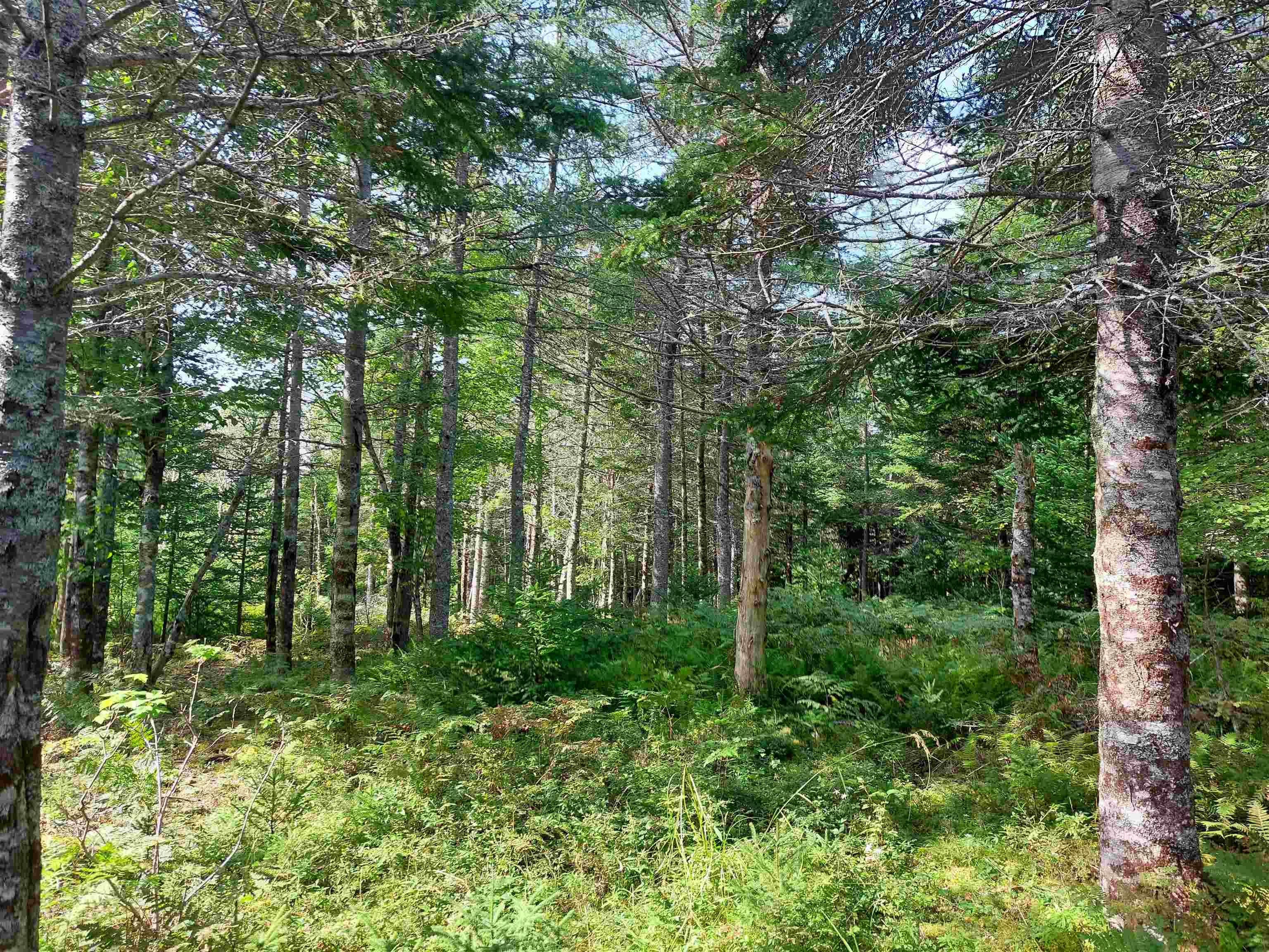 $35,000.00: Lot 5 West Bay Hwy, French Cove