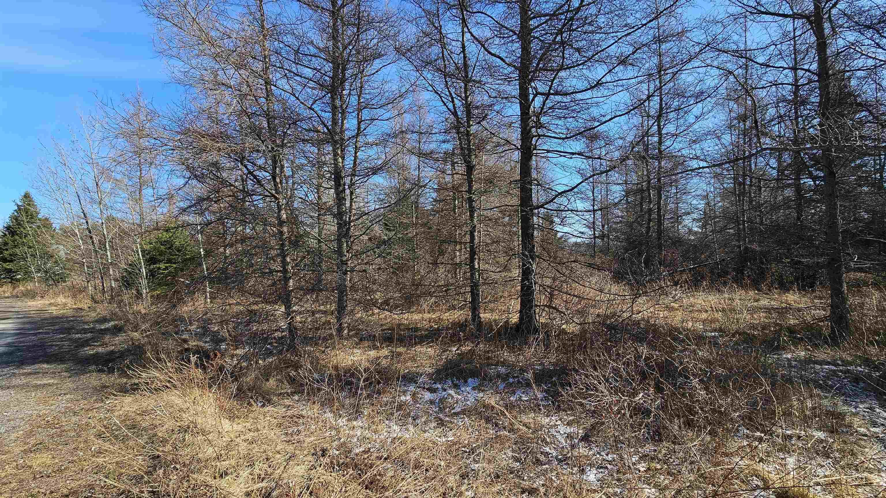 Lot 55 Appalosa Trail, Bayhead, NS (MLS 202505744)