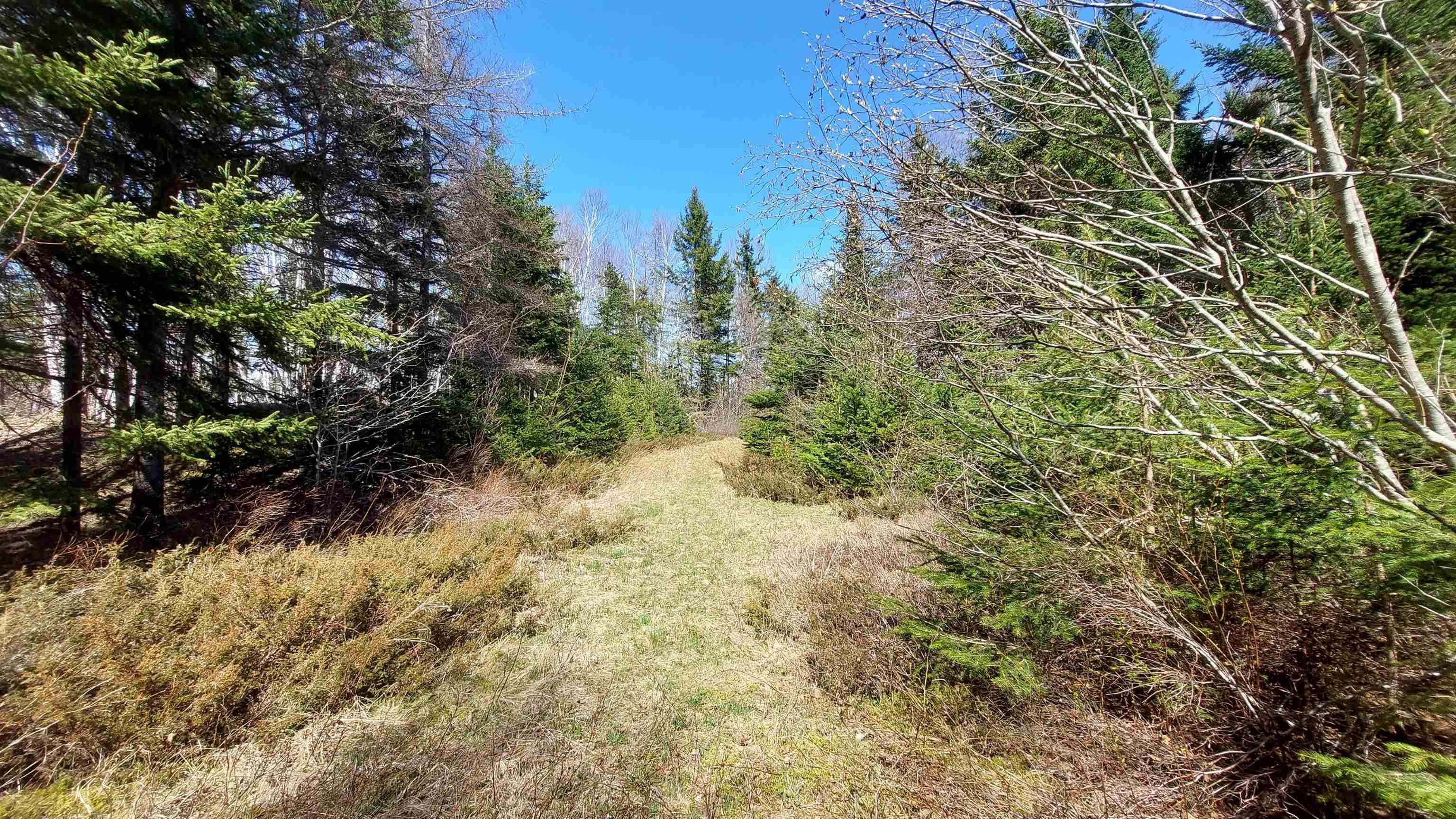 $99,000.00: Lot 21A Jonathan R Bouman Ln, Evanston