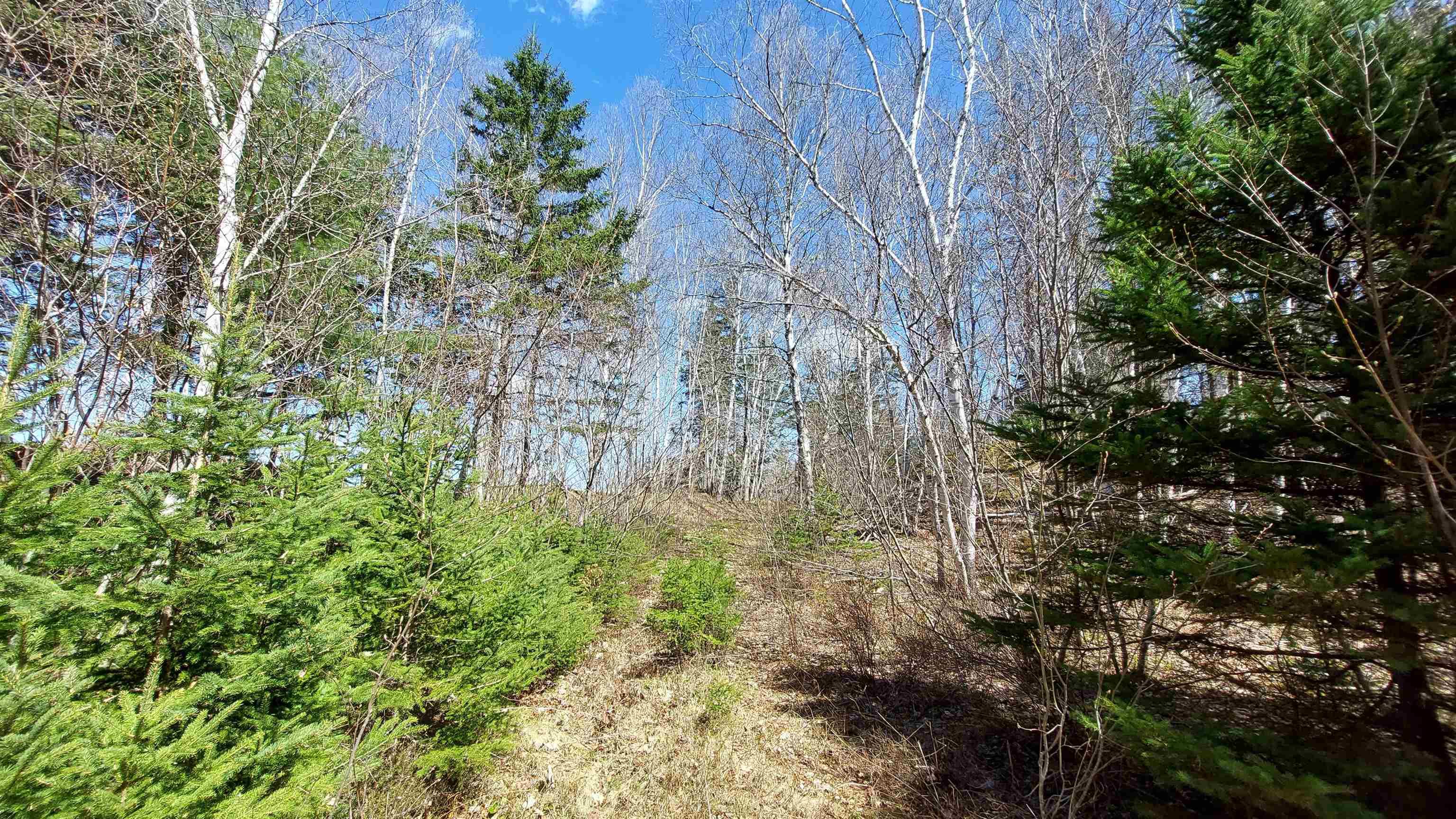 $99,000.00: Lot 21A Jonathan R Bouman Ln, Evanston