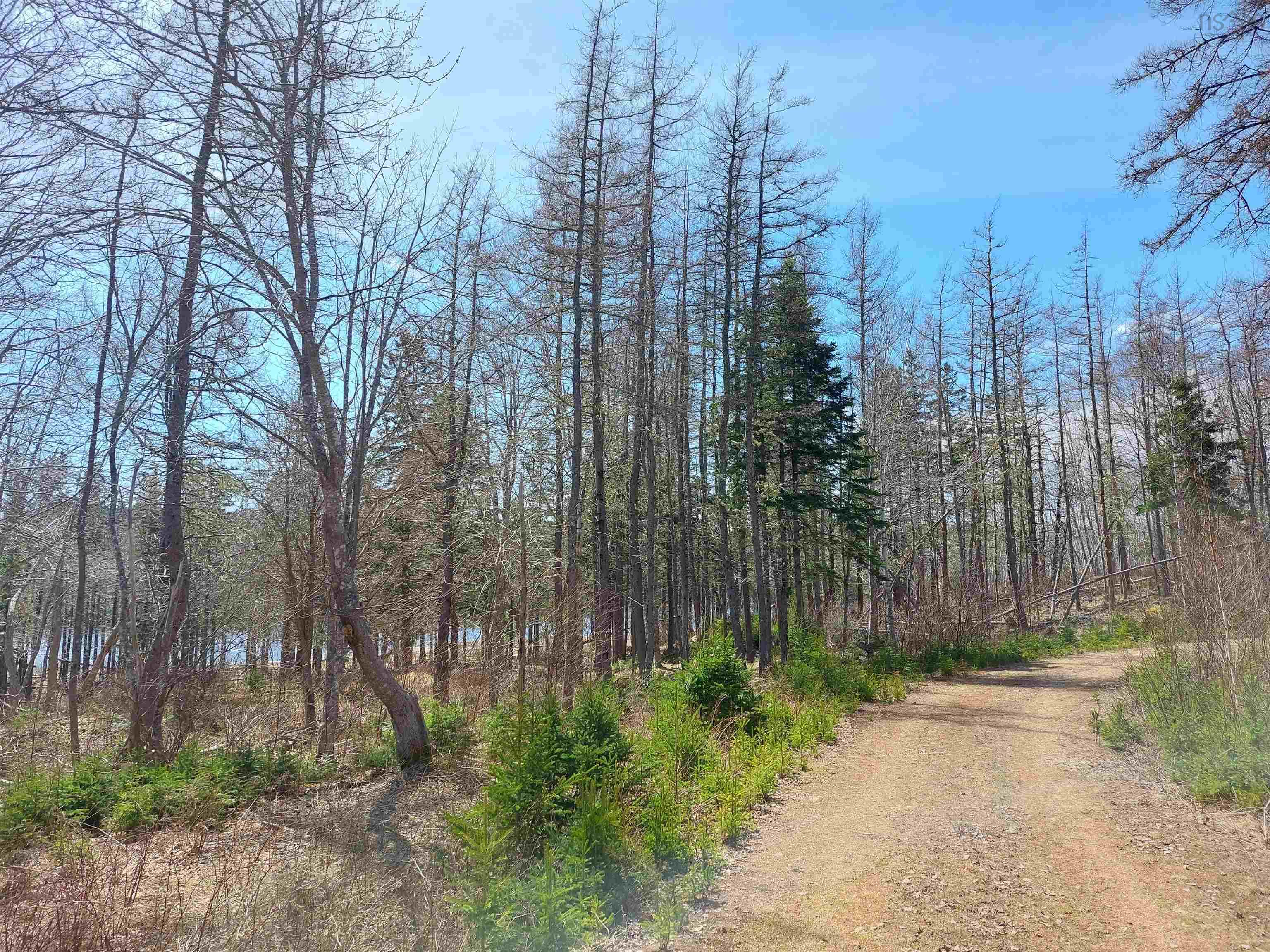 $99,000.00: Lot 21A Jonathan R Bouman Ln, Evanston